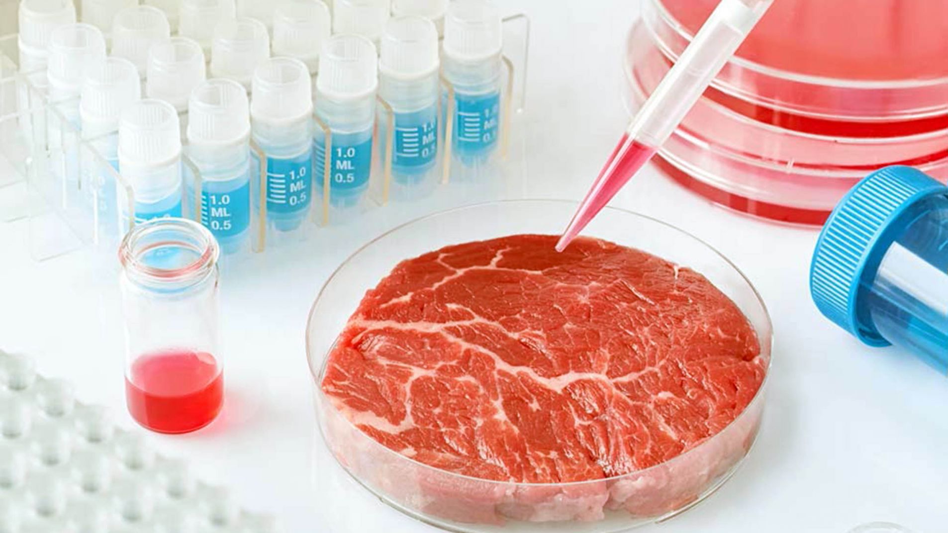 Carne sintética: ¿Qué es exactamente la carne cultivada en laboratorio?