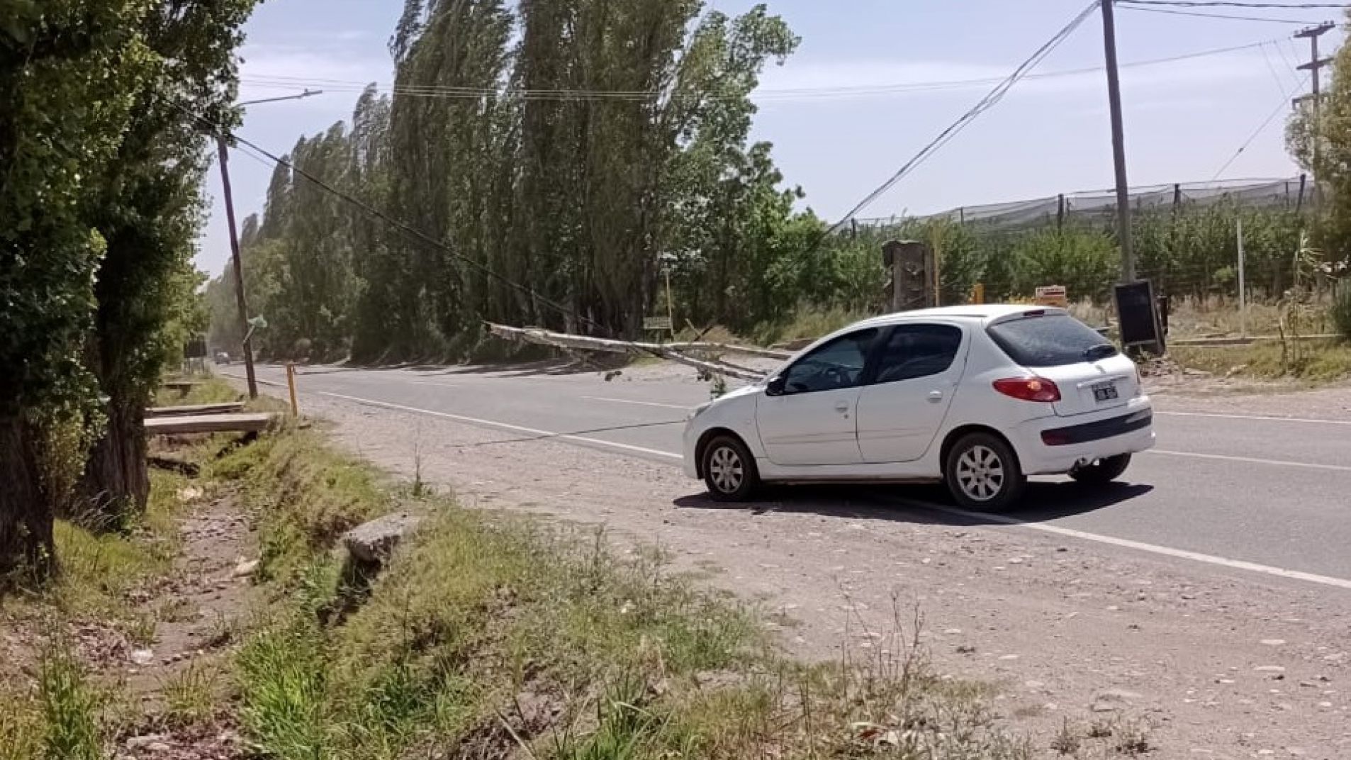 El Zonda volverá a soplar en el departamento (foto archivo).