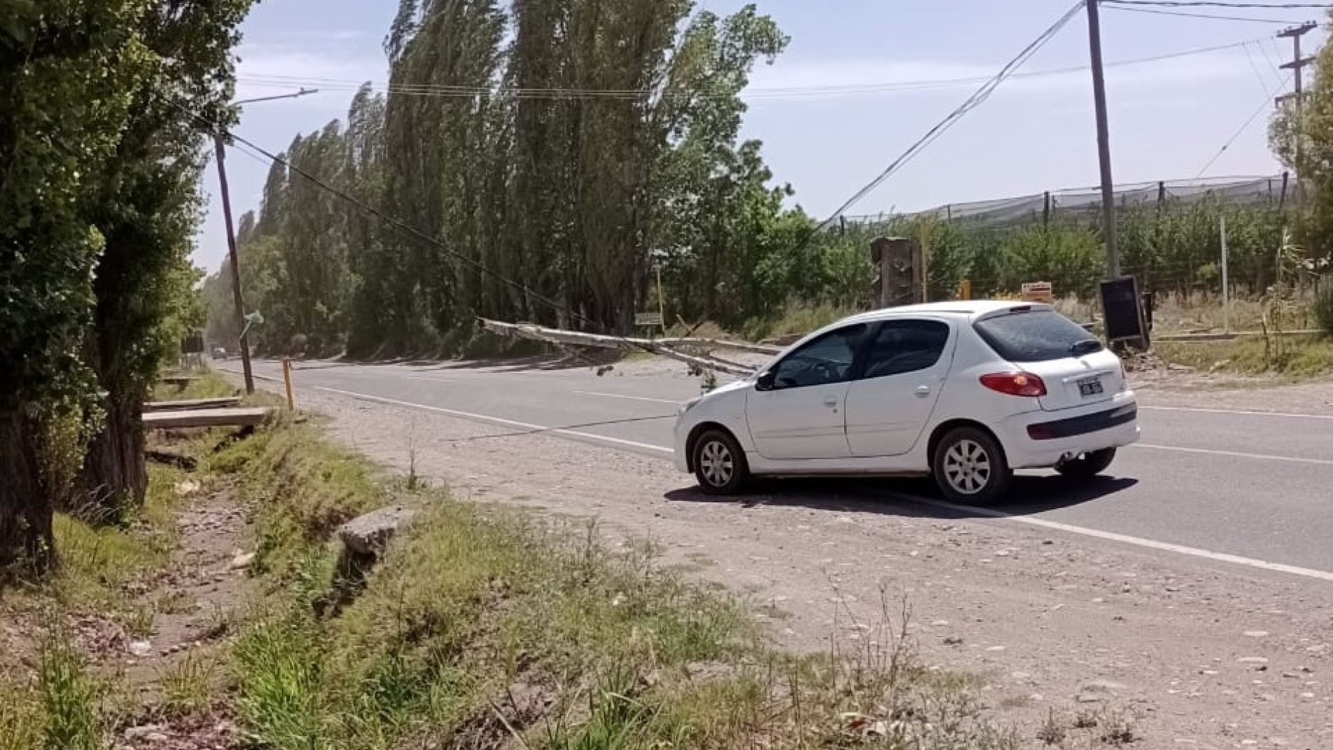 Viento Zonda: Alerta amarillo para el sur de Mendoza