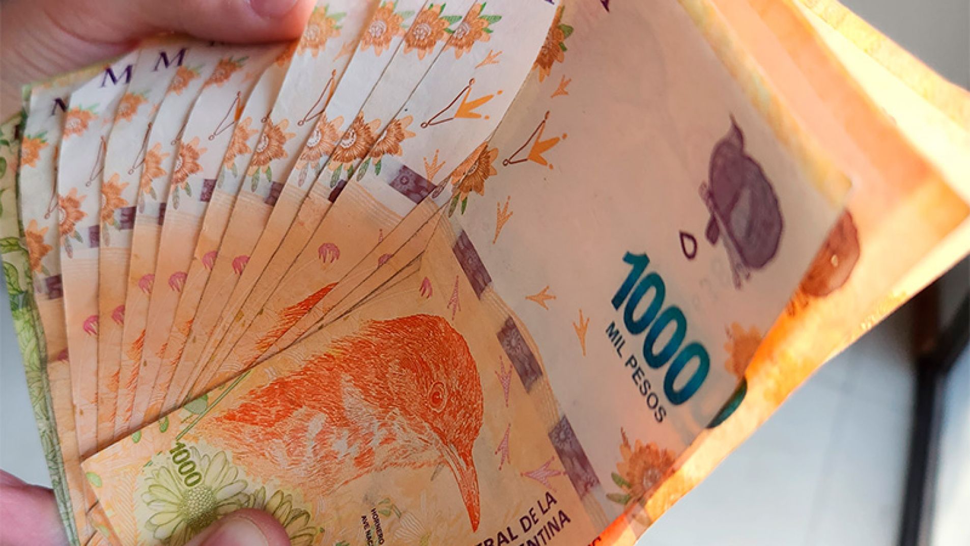 Tras el dato de inflación, el Banco Central volvió a bajar la tasa de interés