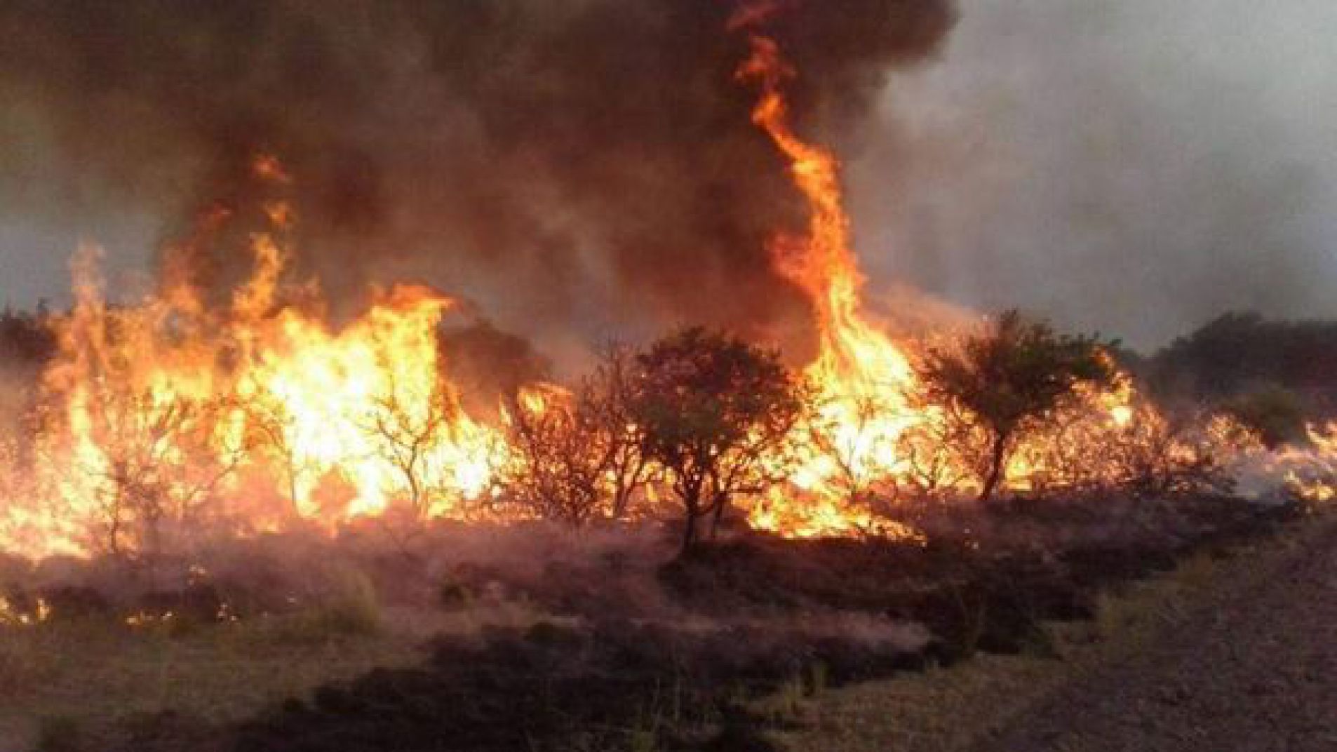 Alerta: San Rafael en riesgo "muy alto" de incendios forestales