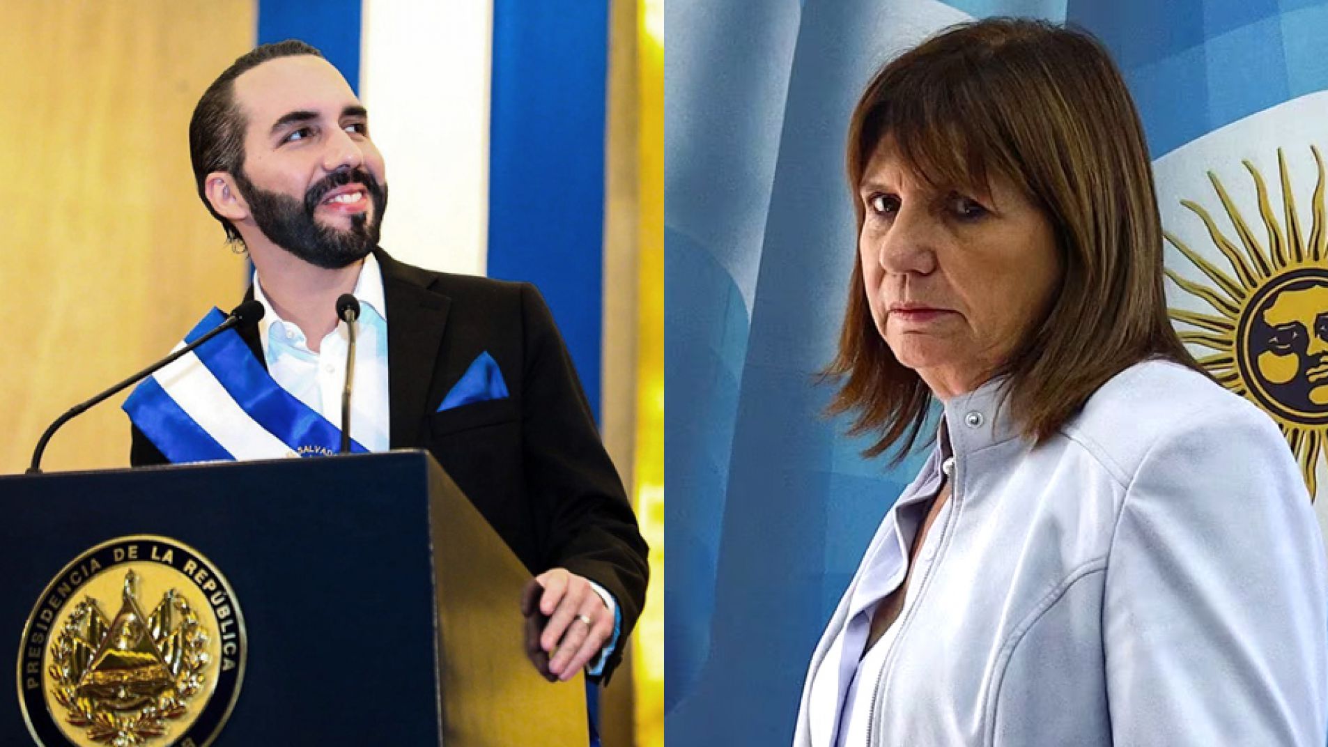 Bullrich: "Nos interesa adaptar el modelo de Bukele"