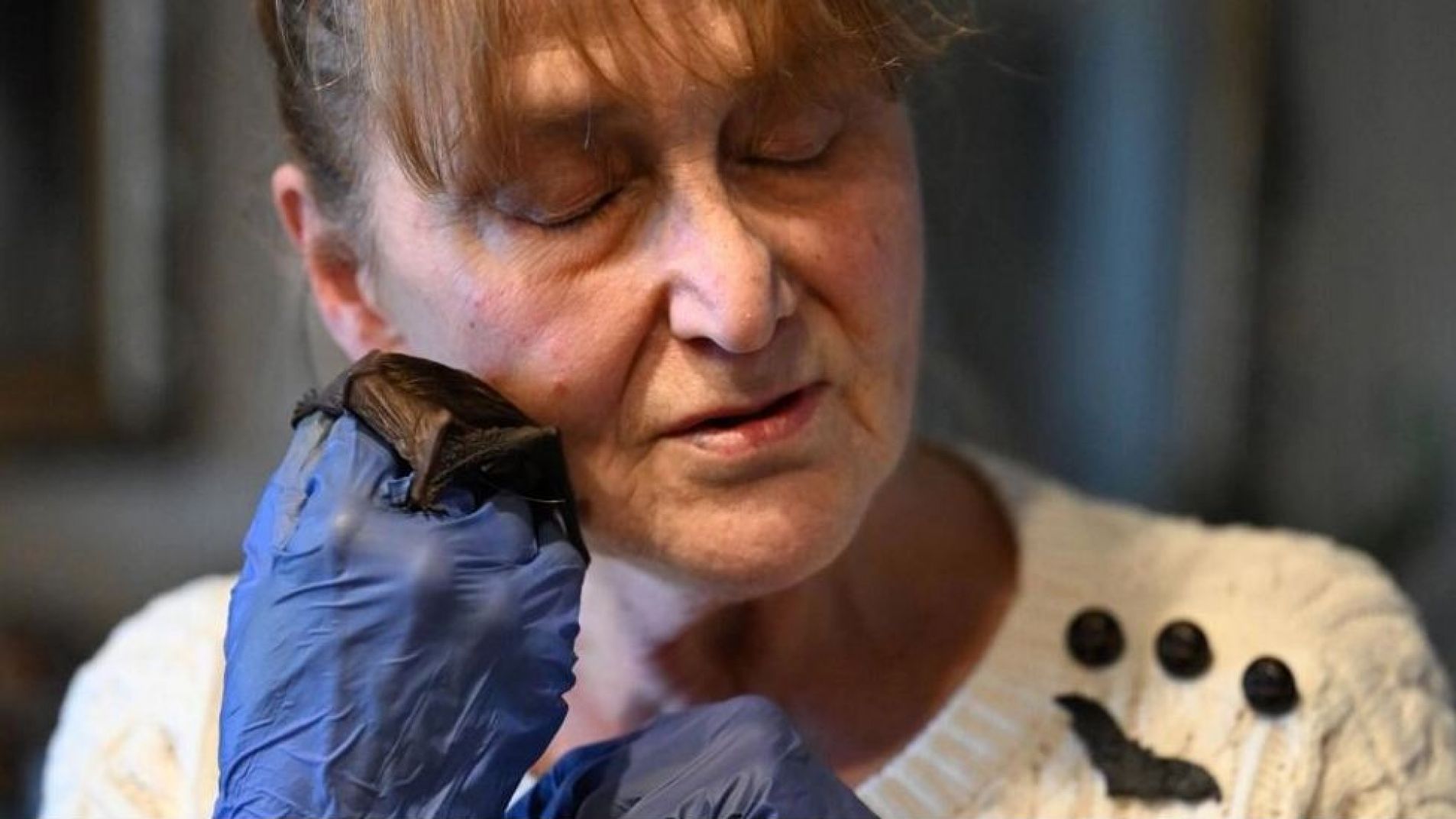 Una jubilada polaca convierte su casa en un asilo de murciélagos