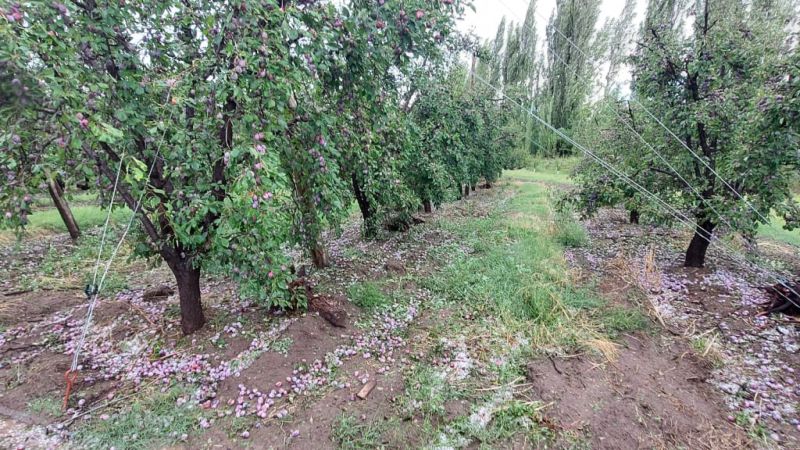 Solicitan actualizar datos bancarios para el cobro de compensaciones