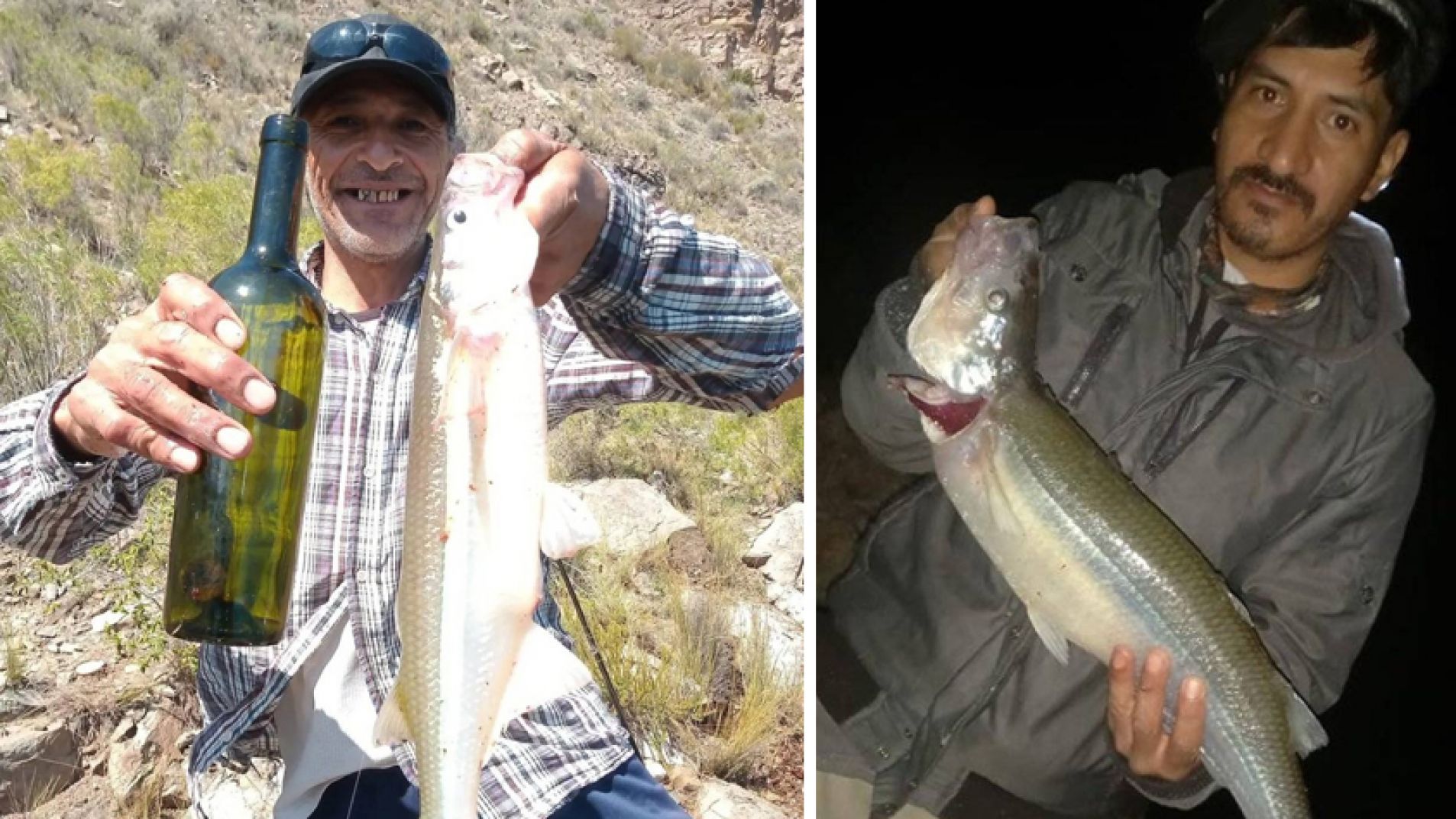 Espectaculares ejemplares de pejerrey capturados en Los Reyunos