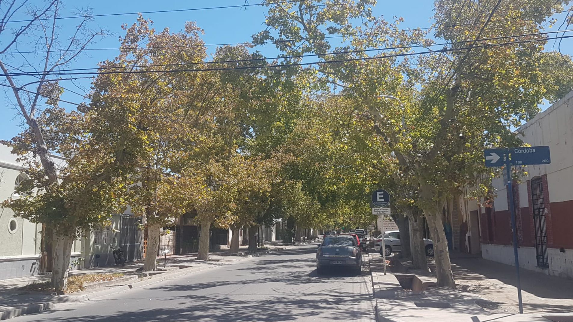 Tras un verano húmedo, anticipan un otoño con pocas lluvias en San Rafael