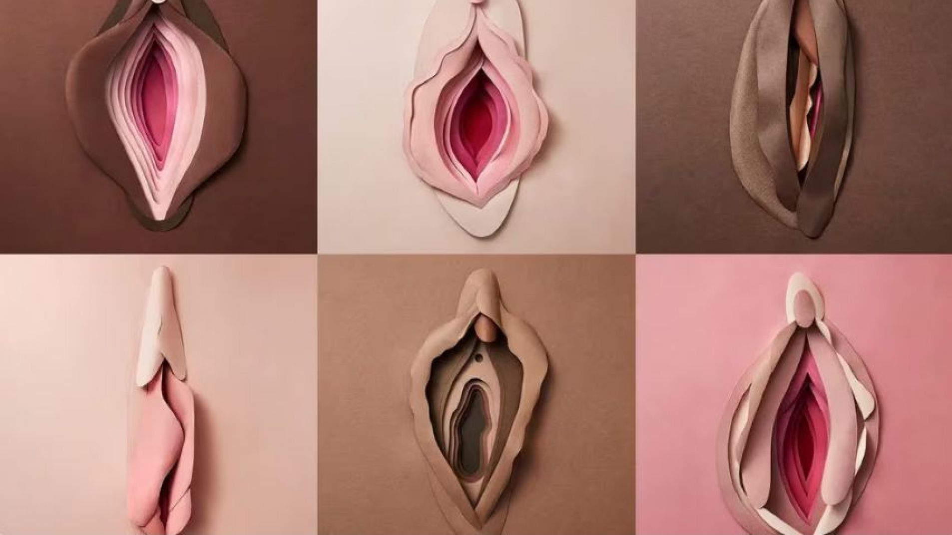 Día de la Vulva: ¿sabías que los genitales femeninos tienen 6 orificios?