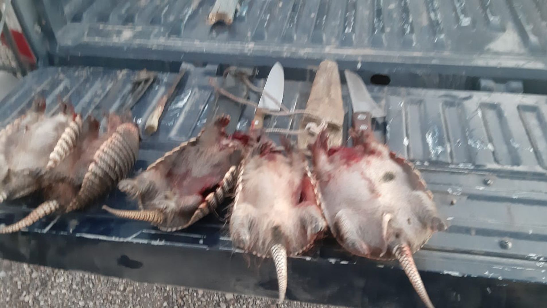 Detuvieron a cuatro hombres con piches y algo de cannabis