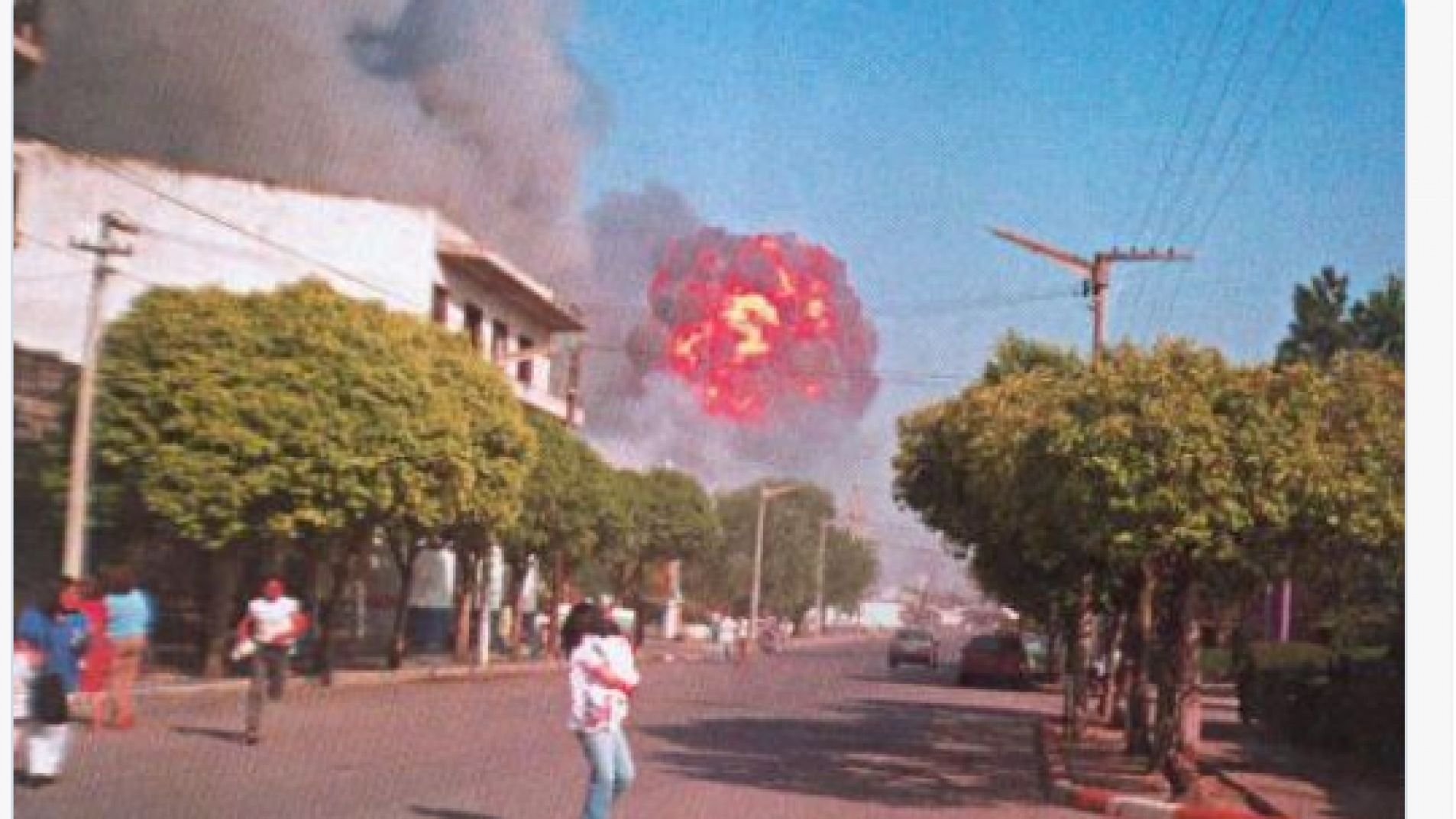 Menem Prócer: las redes explotaron con memes por los dichos de Milei