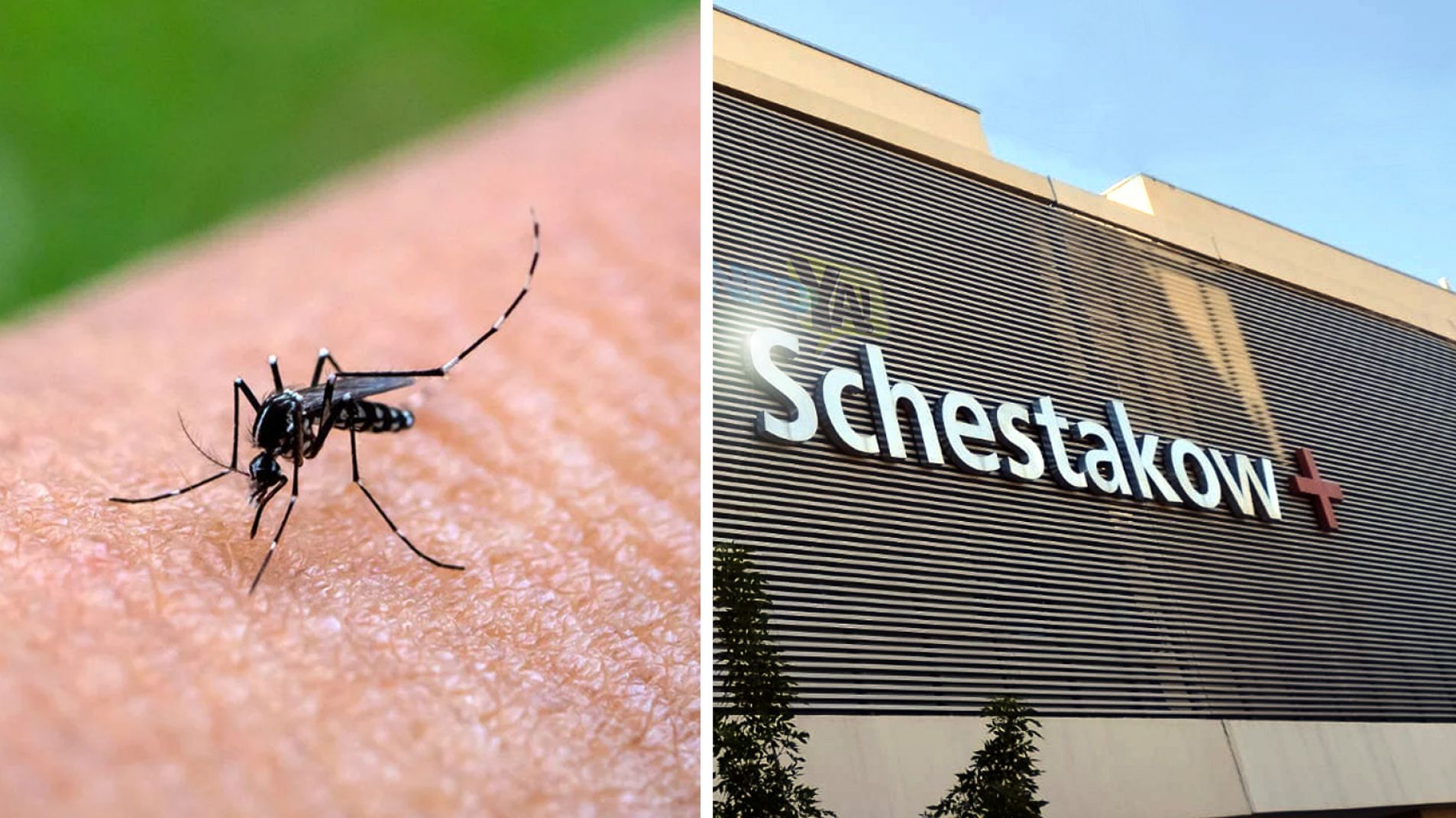 Como lo adelantó Info YA!: tres casos positivos de Dengue en San Rafael