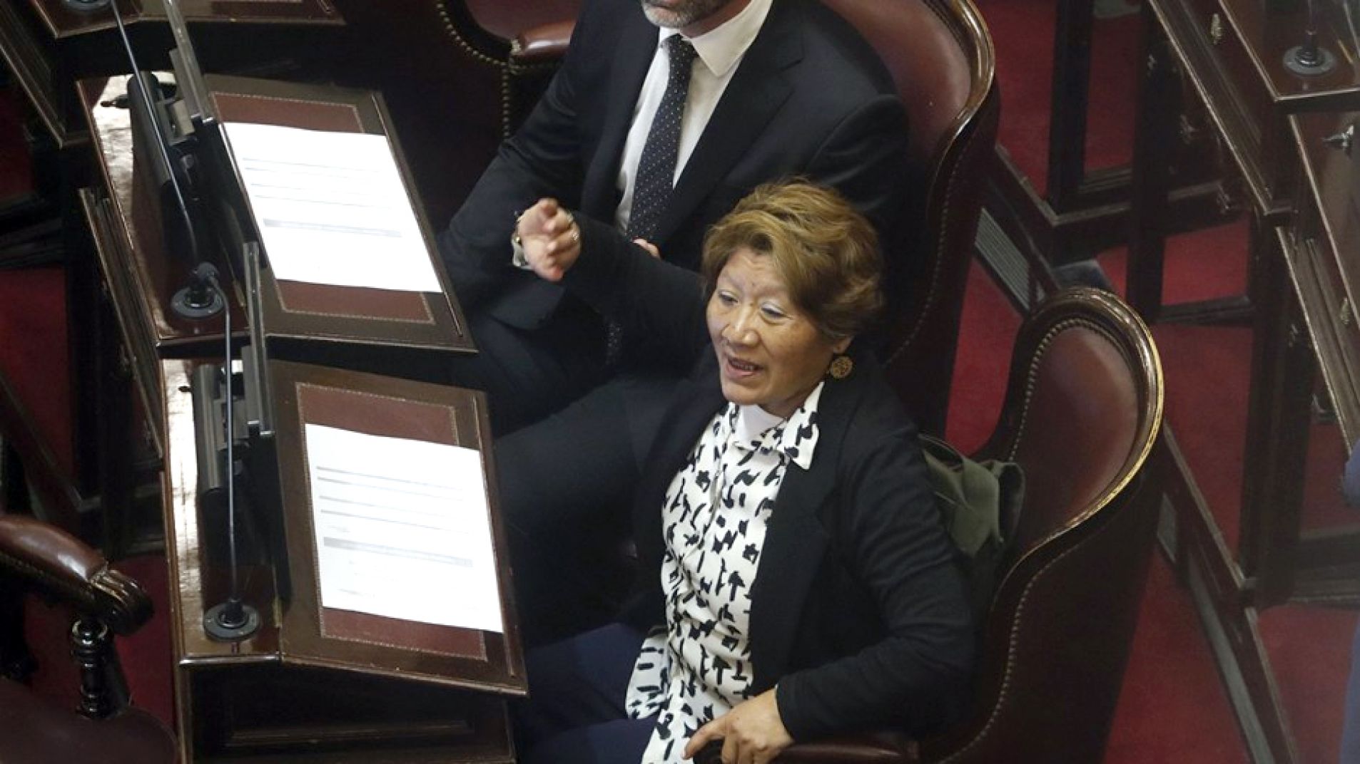 Vilma Facundo Bedia, senadora libertaria