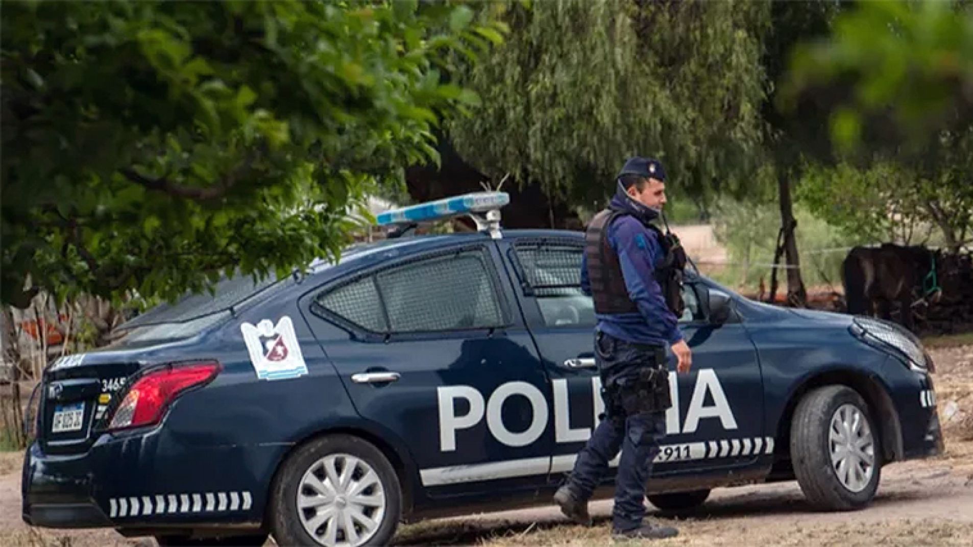 Entraron a una bicicletería y robaron "una playera"