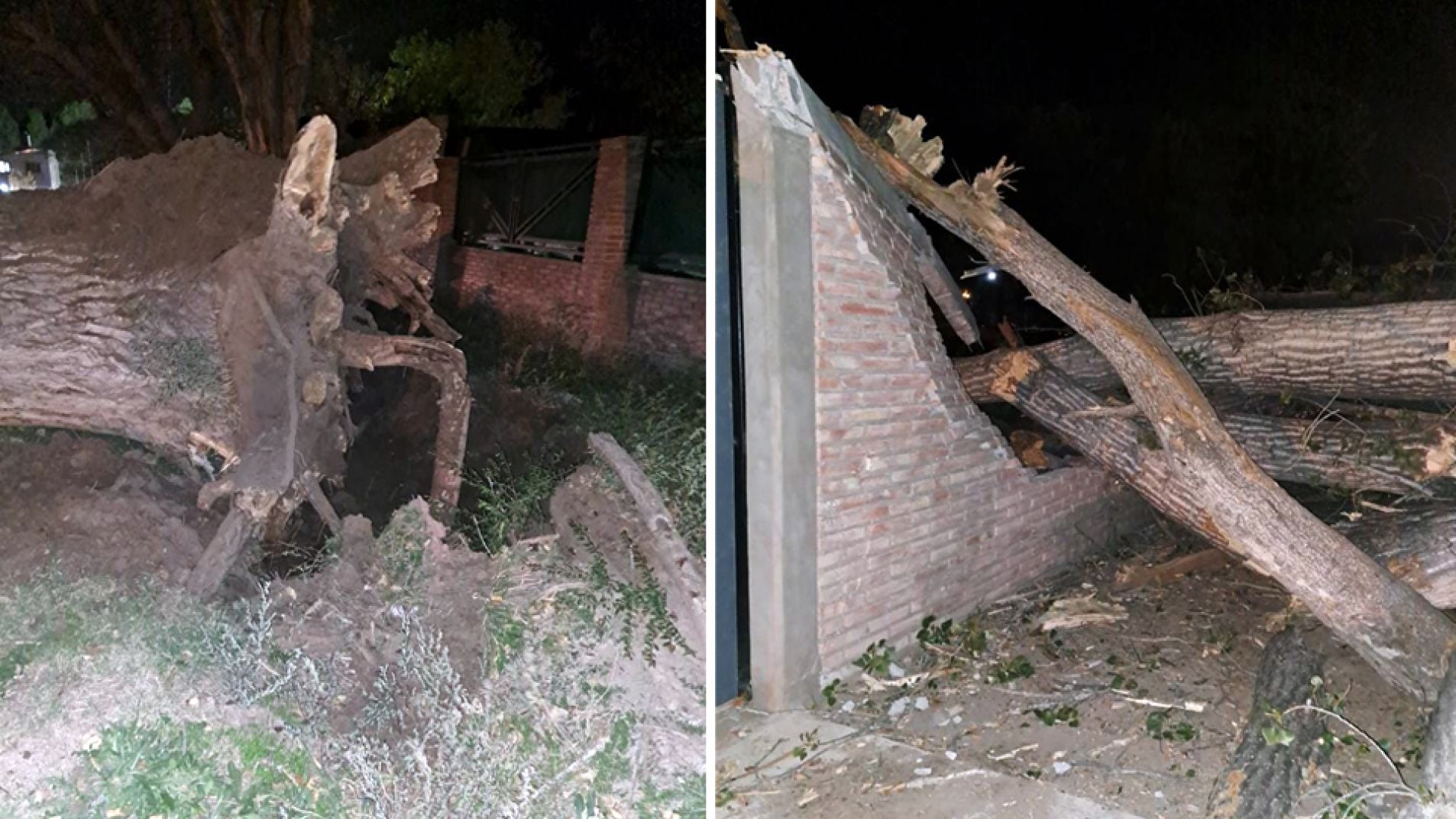 Cayó un árbol y derribó una pared en la Villa 25 de Mayo
