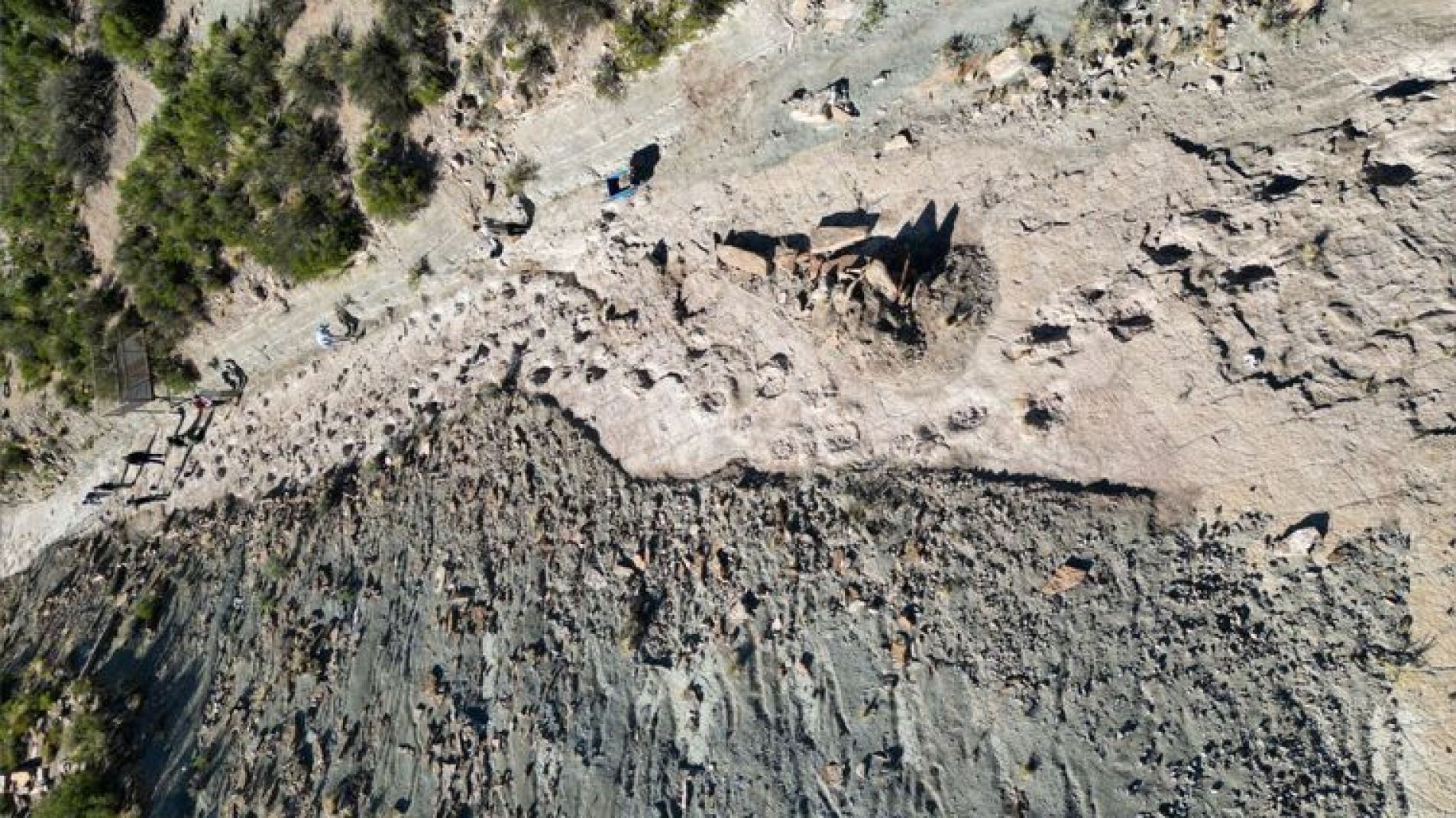 Parque en Malargüe con huellas de dinosaurios de hace 83 millones de años