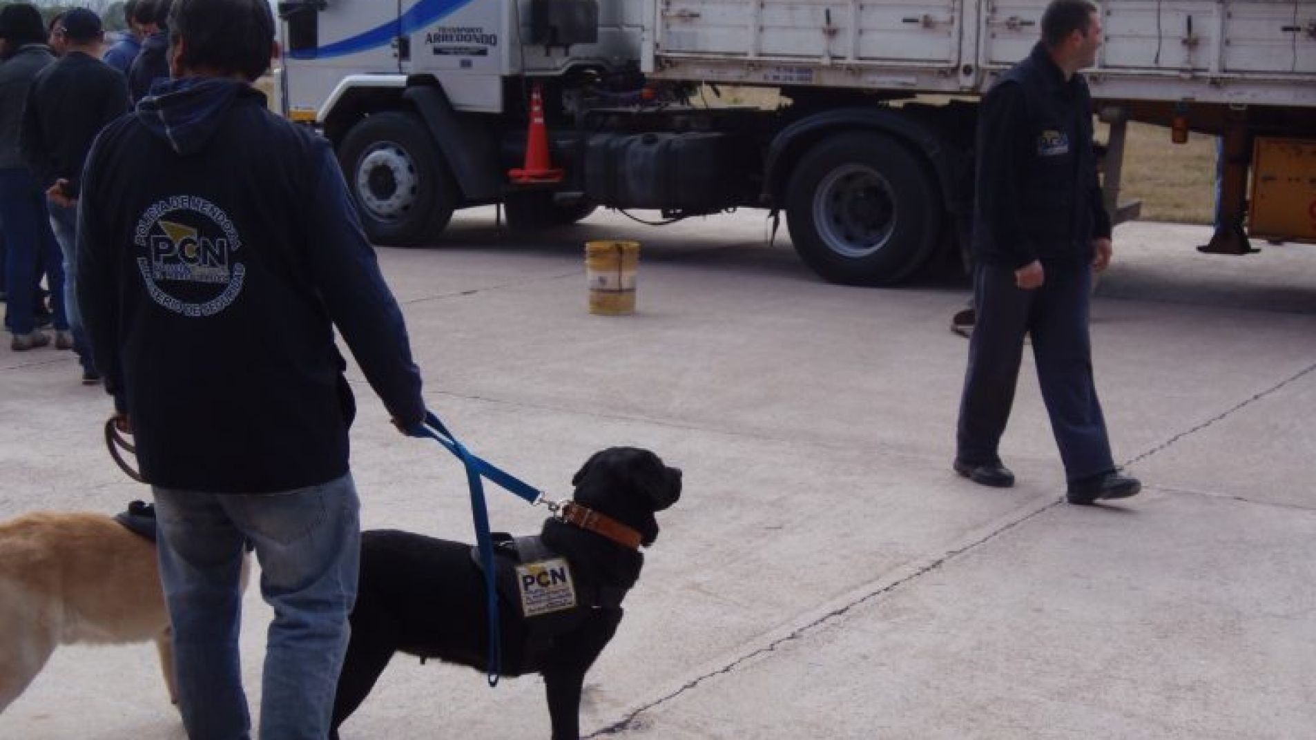 Olfato policial: perros aliados en la lucha contra el narcotráfico