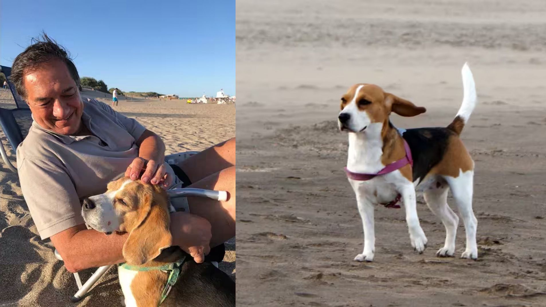 "Adiós a mi perrita Lola, hasta que volvamos a vernos"