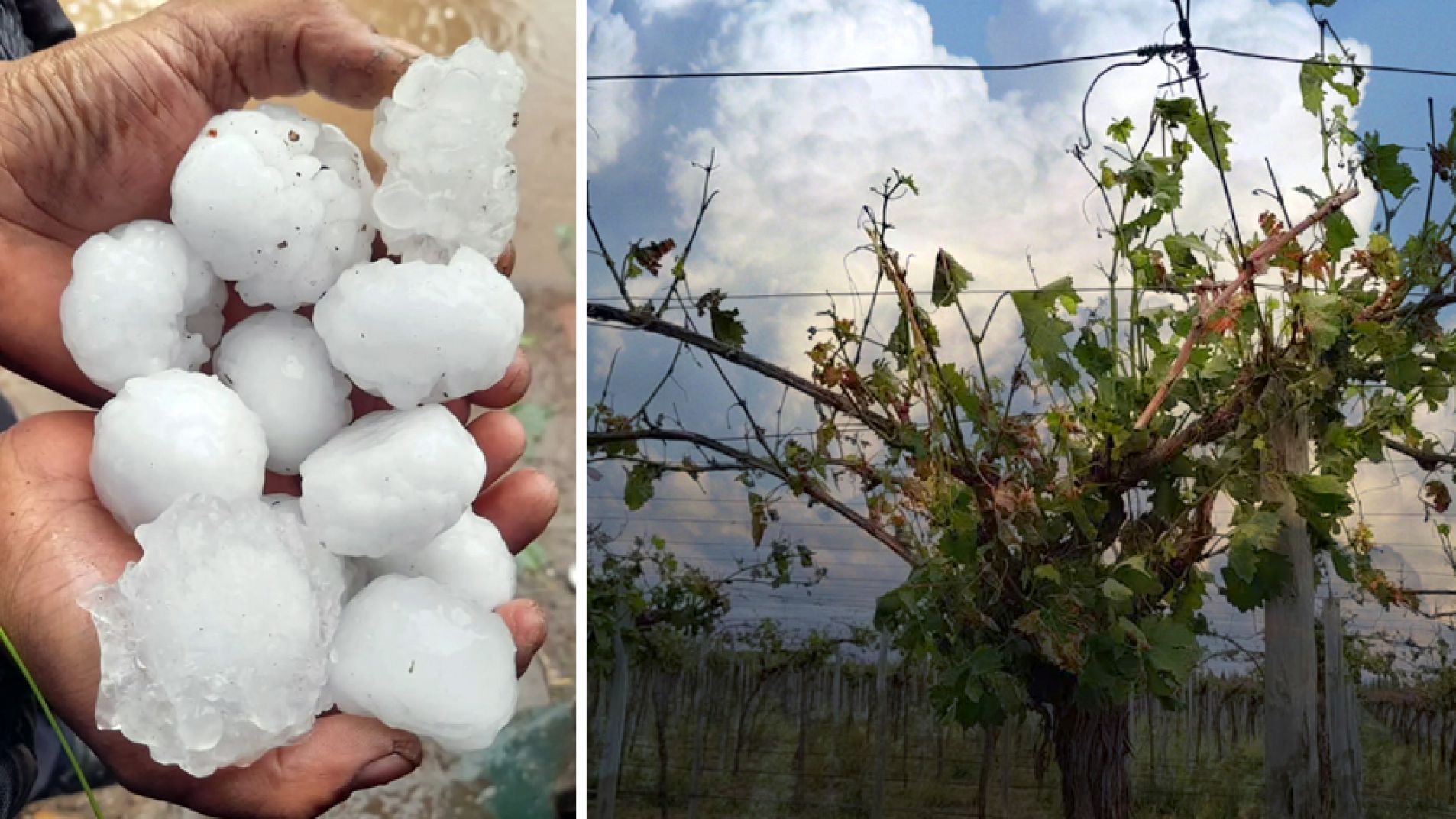 "La sociedad en su conjunto tiene que reclamar por la lucha antigranizo"
