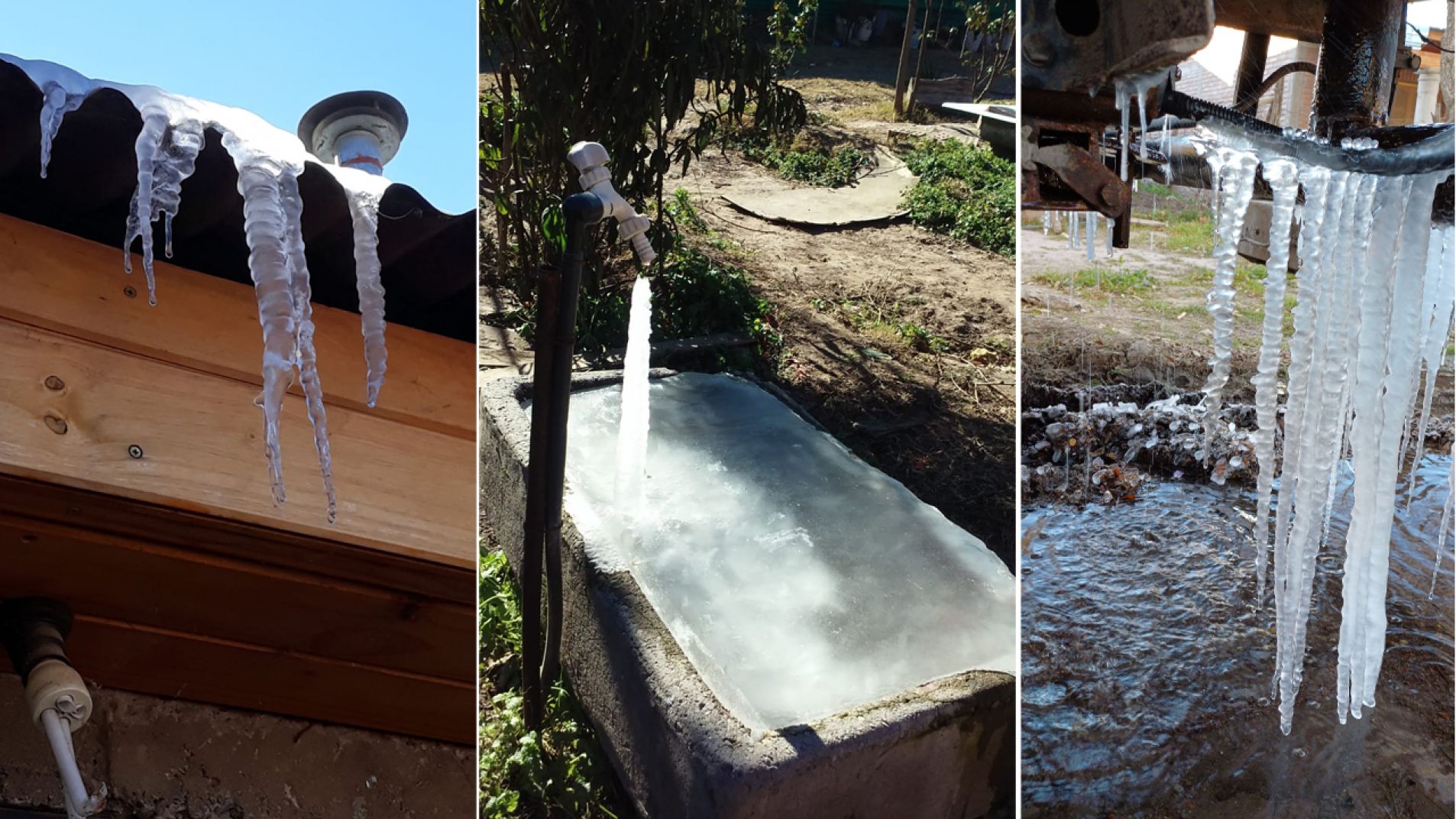 Consecuencias de una madrugada gélida en San Rafael.