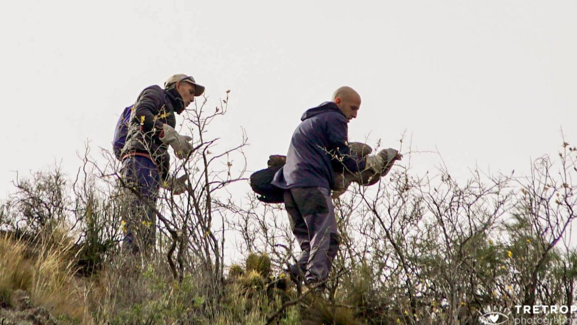 El cóndor fue rescatado este martes tras un gran despliegue.