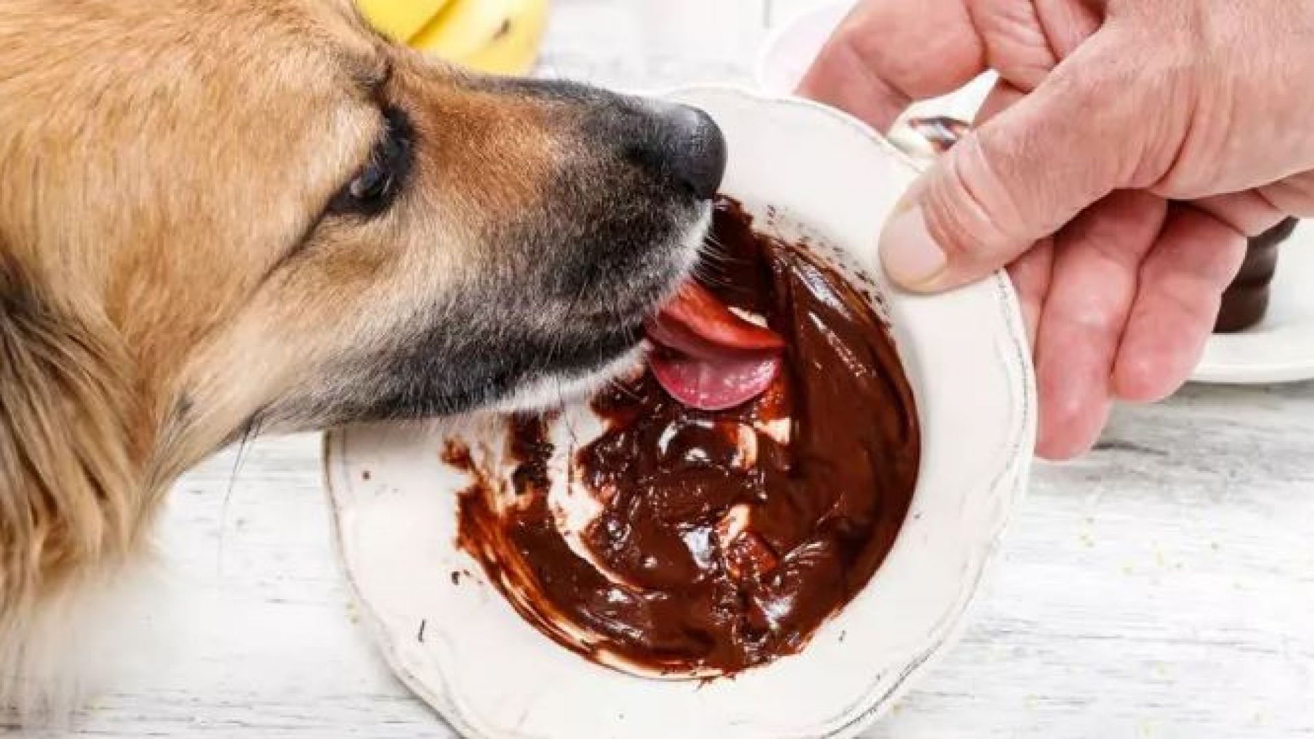 El chocolate es uno de los alimentos que le pueden causar problemas de salud (foto ilustrativa).