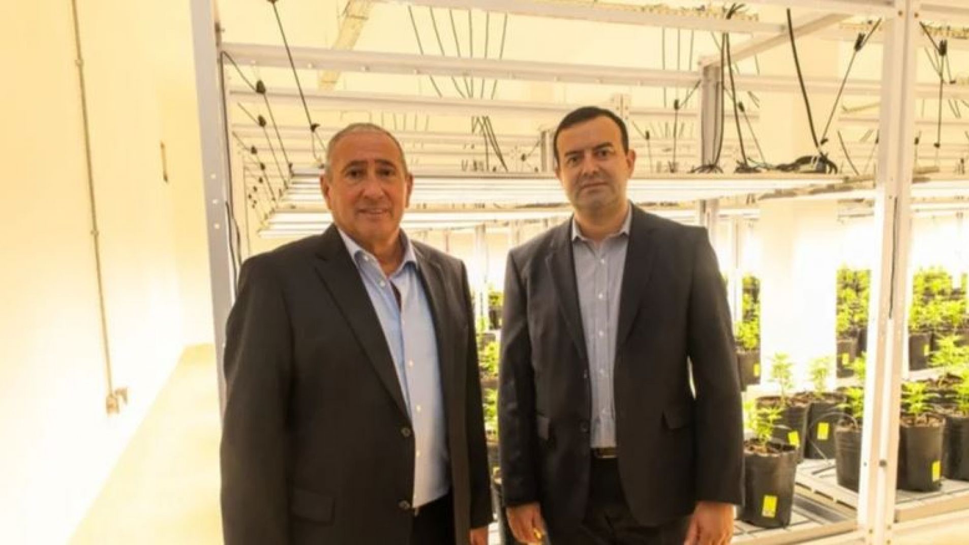 Inauguró el primer cultivo de cannabis indoor a gran escala en Mendoza