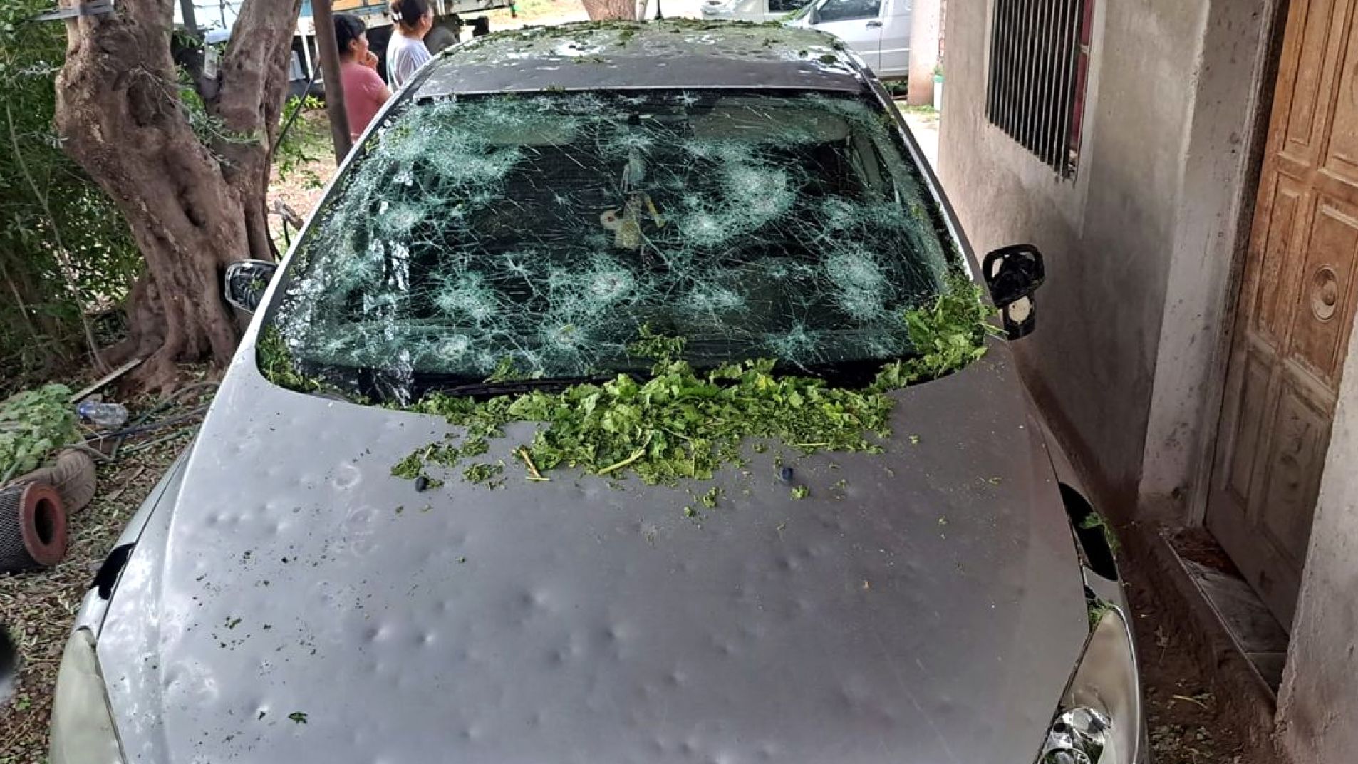 Recordaron que se puede contratar seguro contra granizo por temporada