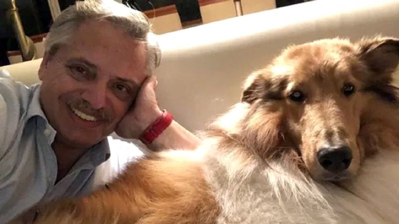 El duro momento de Alberto Fernández: murió Dylan, su perro