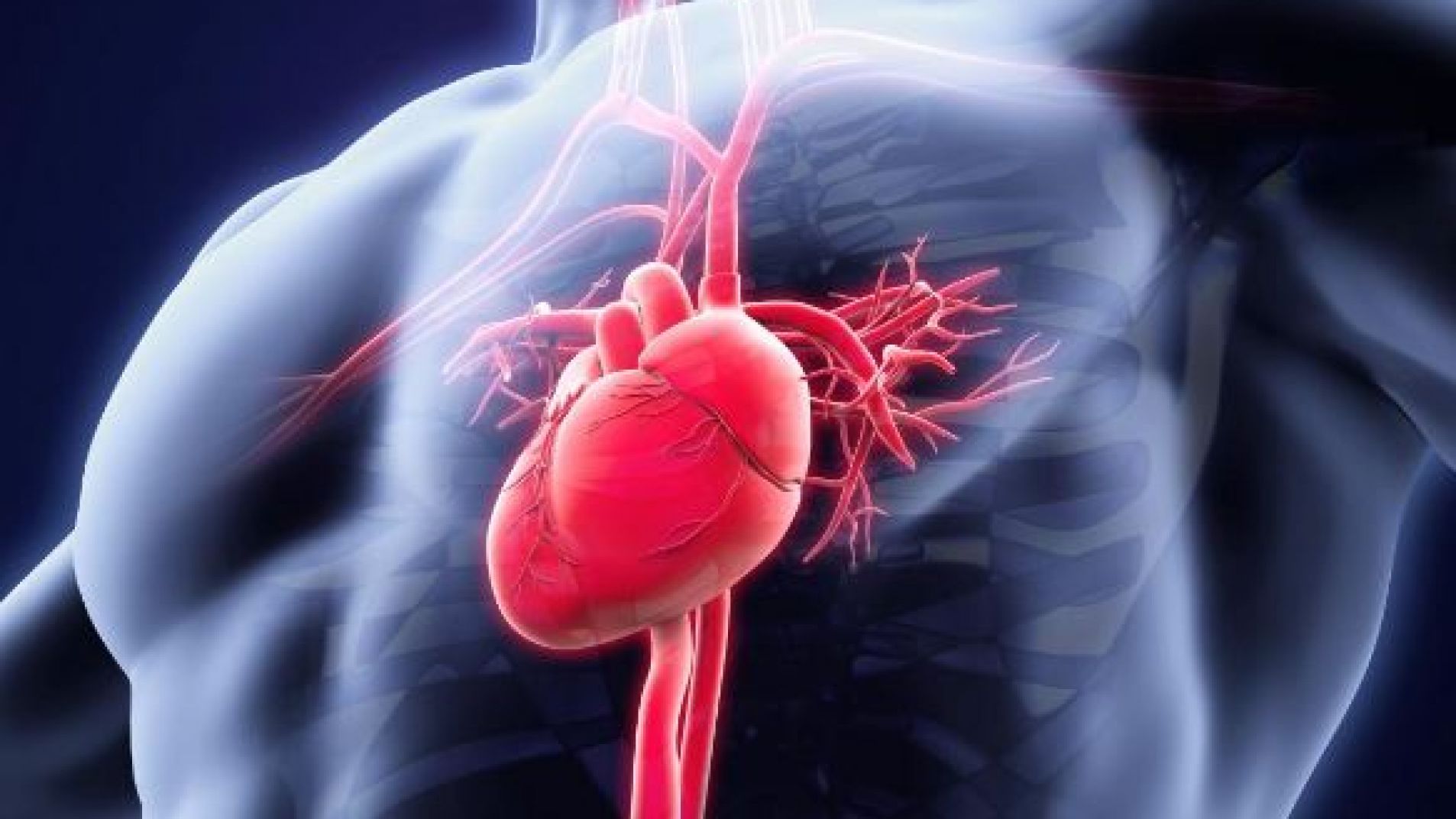 Cómo saber si la taquicardia es por ansiedad o por un problema de corazón