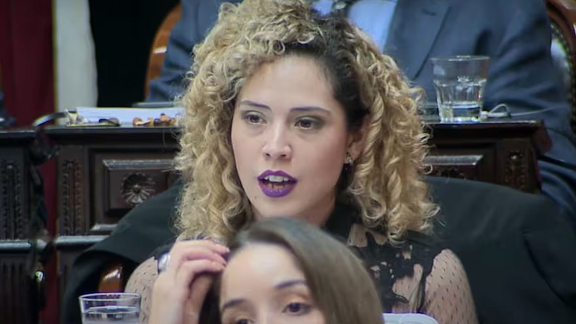 Lourdes Arrieta, diputada nacional por Mendoza.