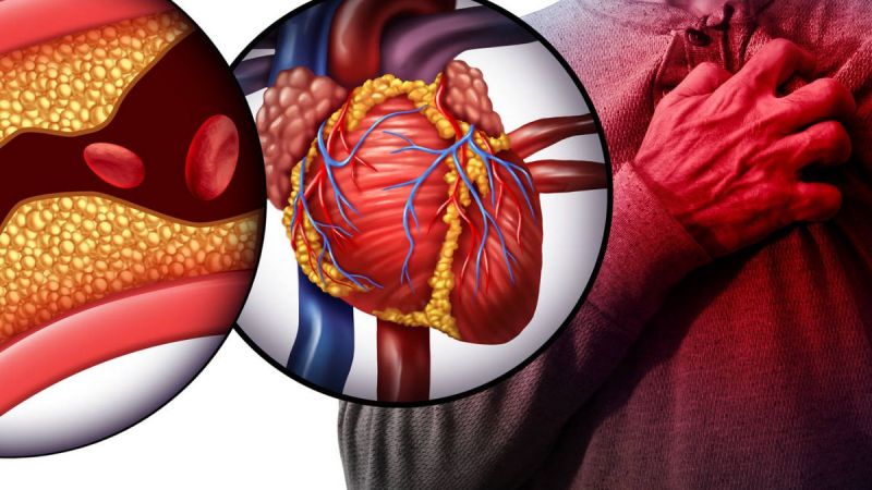 Cuál es el alimento cotidiano que podría reducir el colesterol hasta un 10%