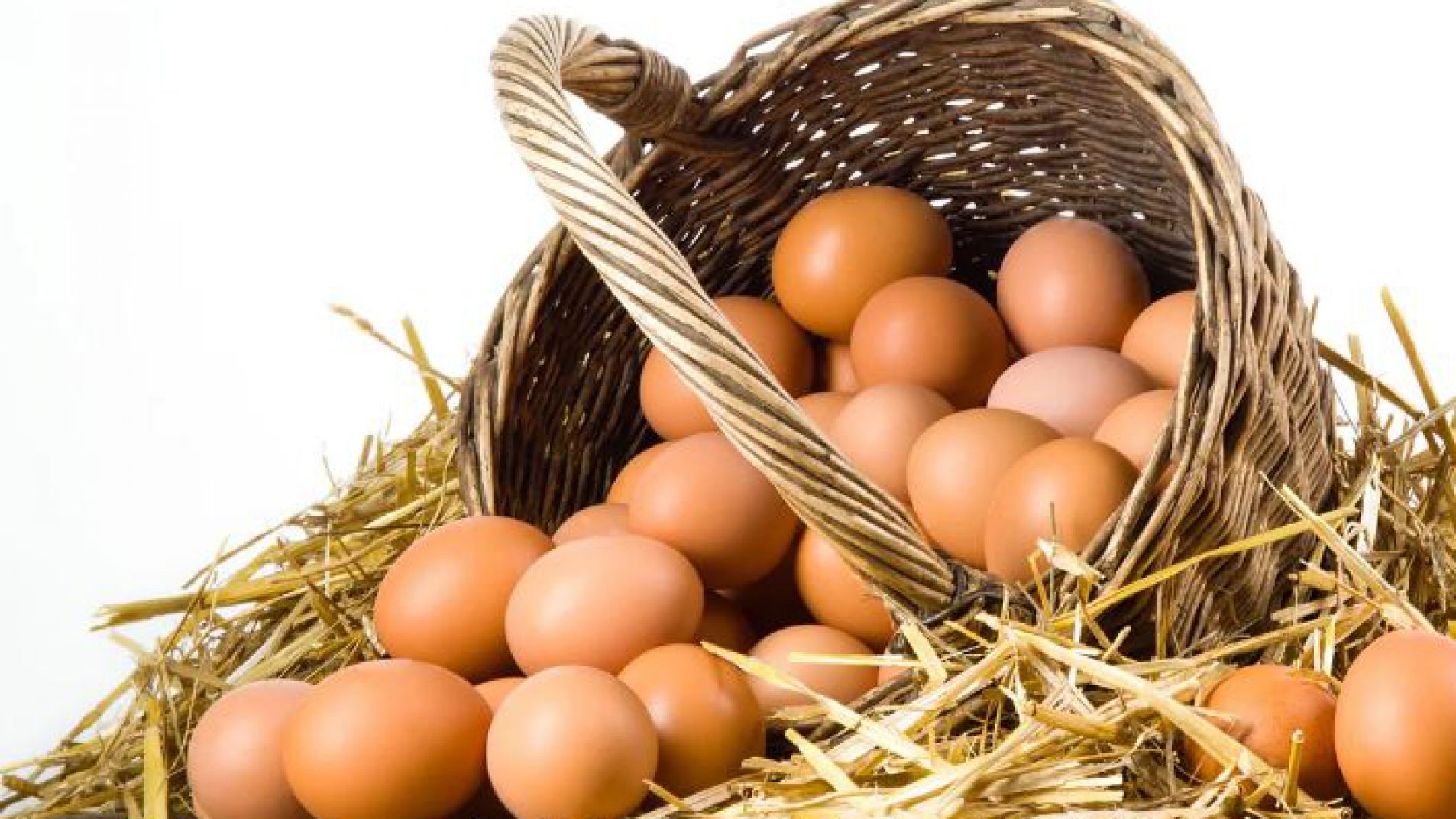 12 datos divertidos sobre los huevos