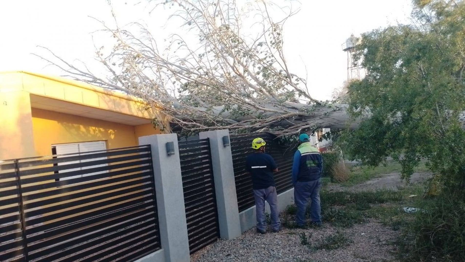 Empleados municipales quitan un árbol que se cayó sobre una vivienda.
