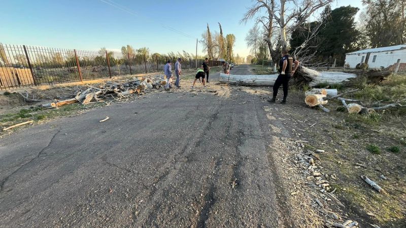 Con ráfagas de viento de 78 kilómetros hubo caída de árboles y cortes de luz