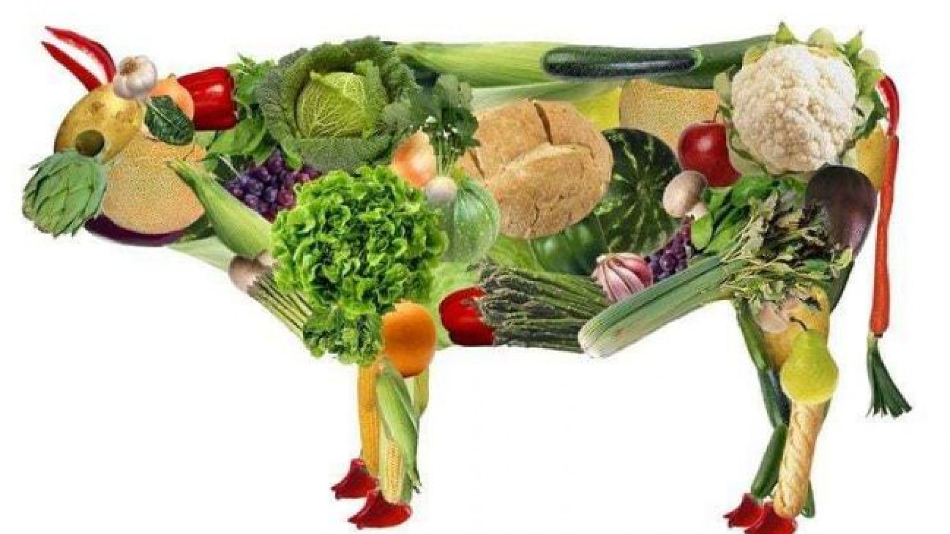 Día del Vegetarianismo: los efectos en la salud de una dieta basada en plantas