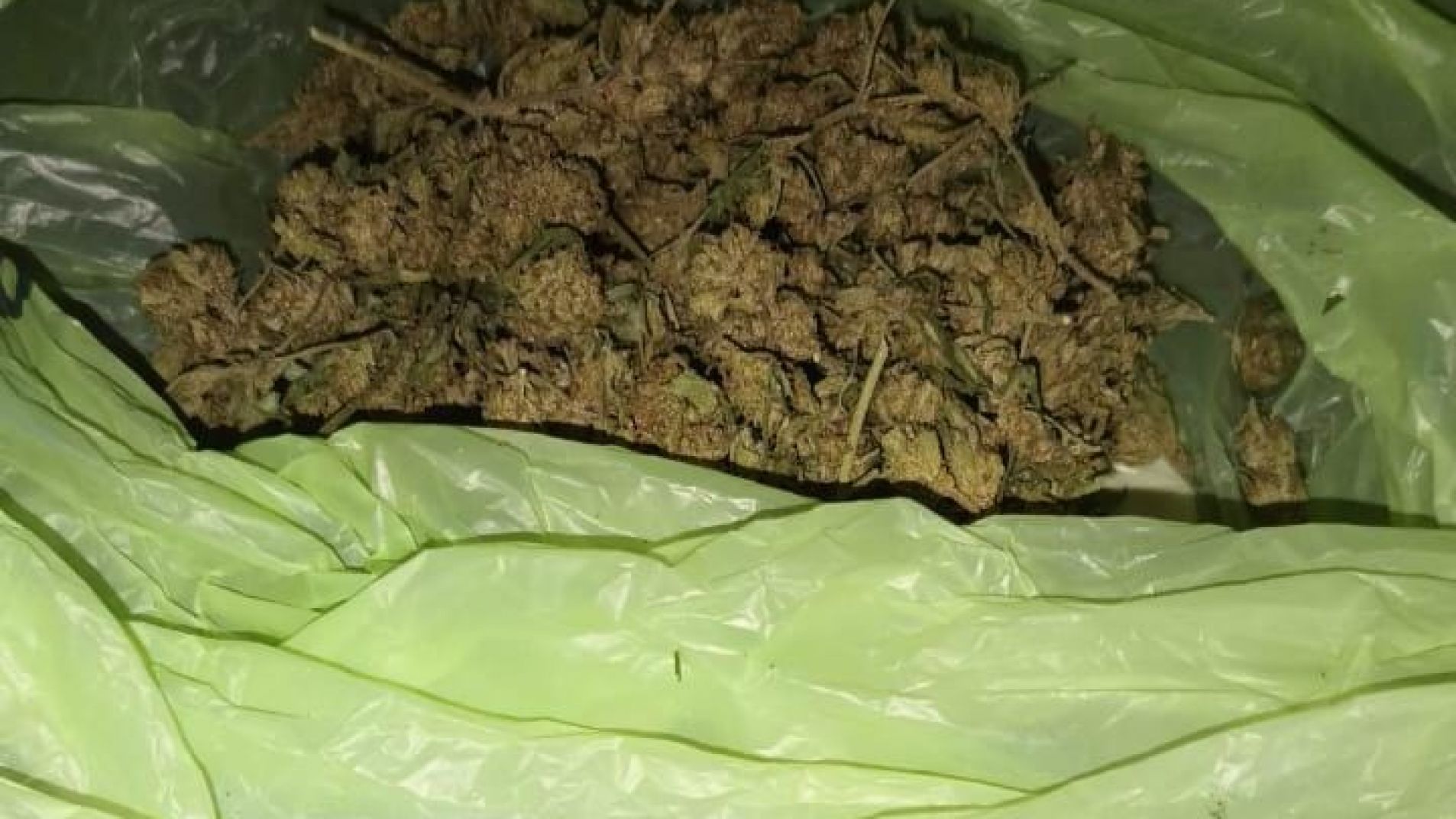 En pleno centro: estaba autorizado para cultivar marihuana pero la comercializaba