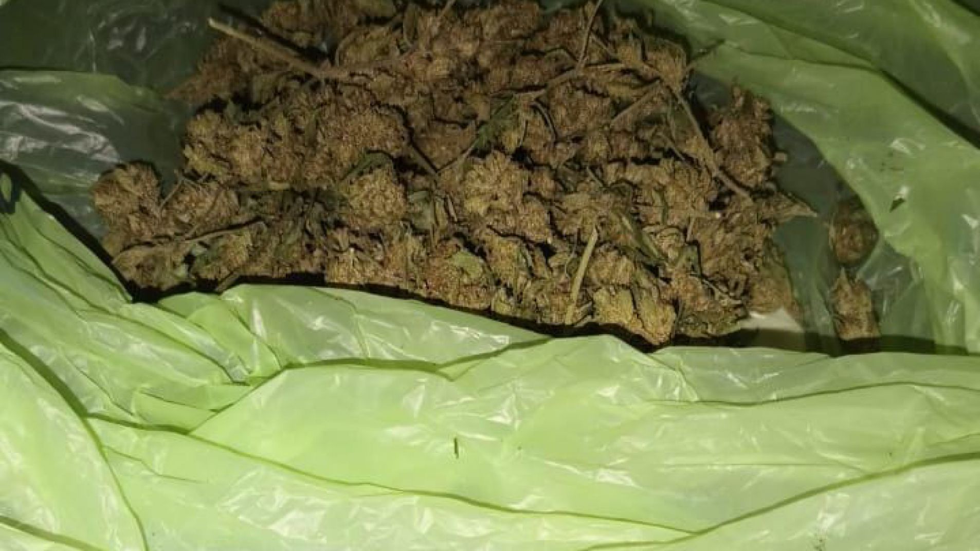 En pleno centro: estaba autorizado para cultivar marihuana pero la comercializaba