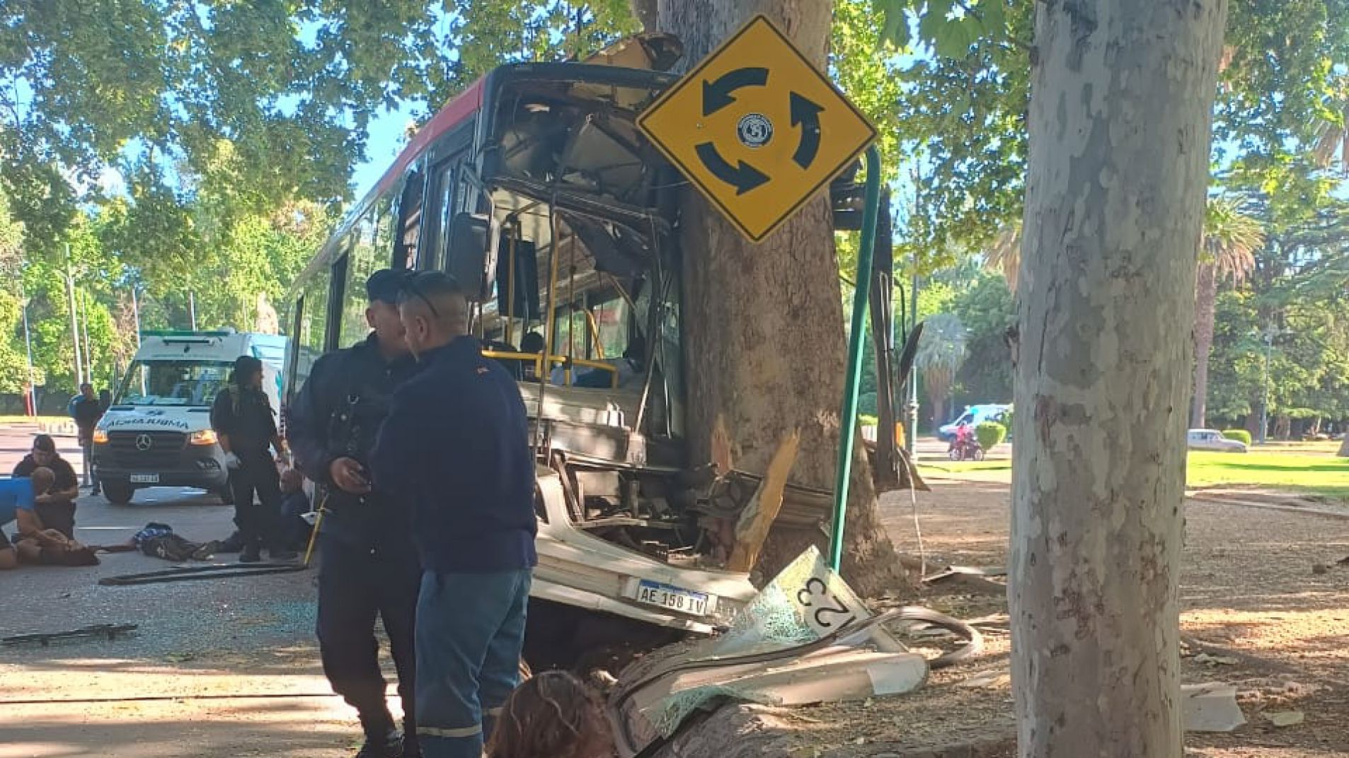 Colectivo sin frenos chocó contra un árbol: murió el conductor