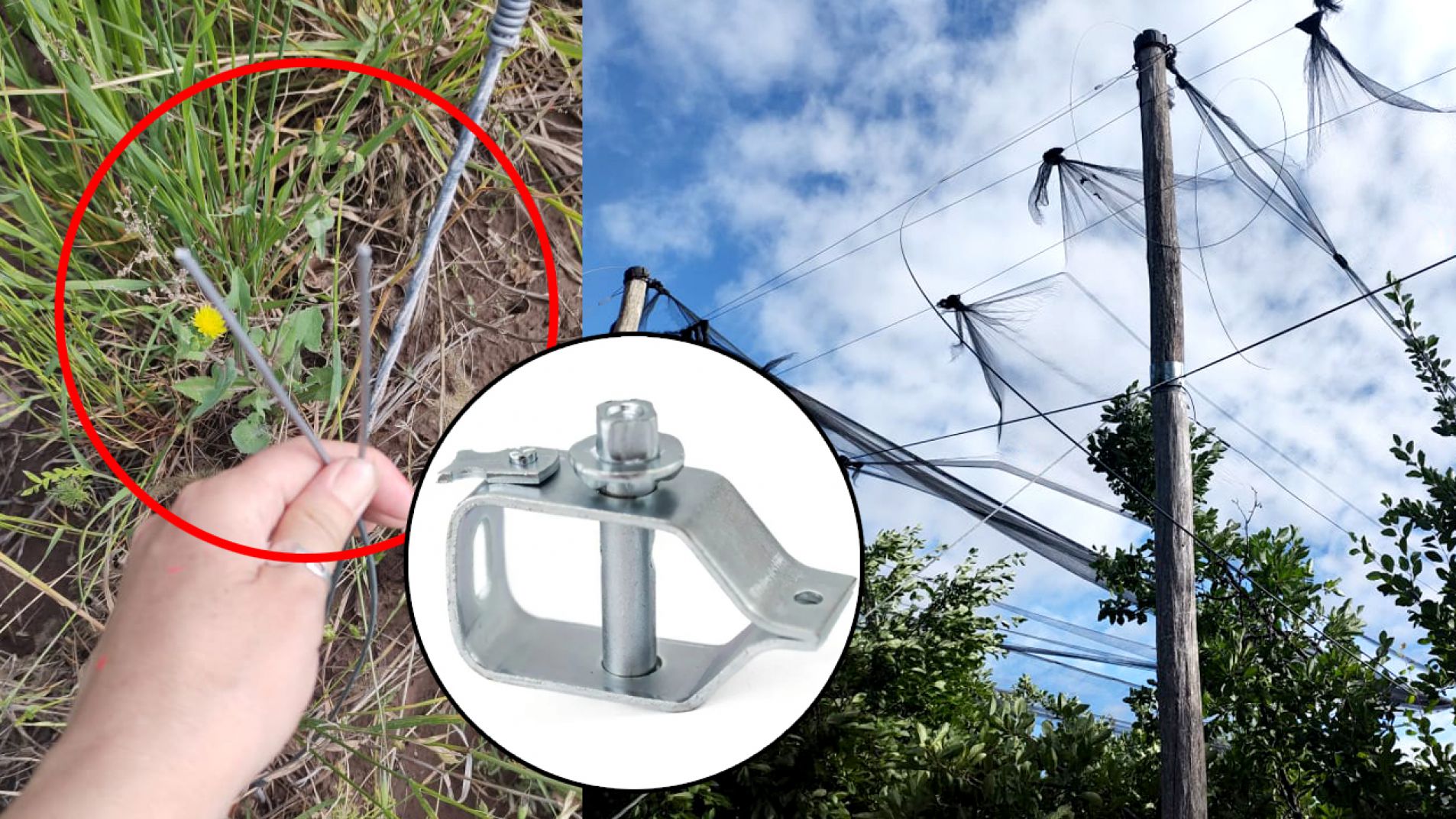 Le robaron más de 200 torniquetas y le arruinaron la tela antigranizo