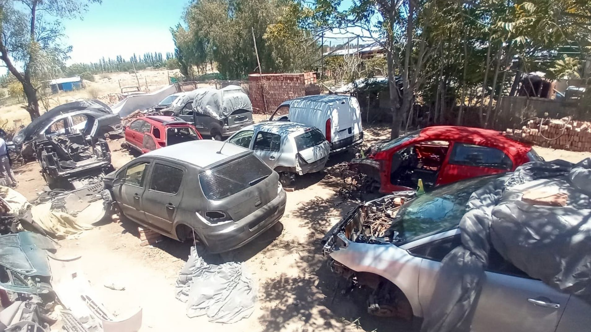 Desmantelaron un desarmadero clandestino de autos en la Isla del Río Diamante