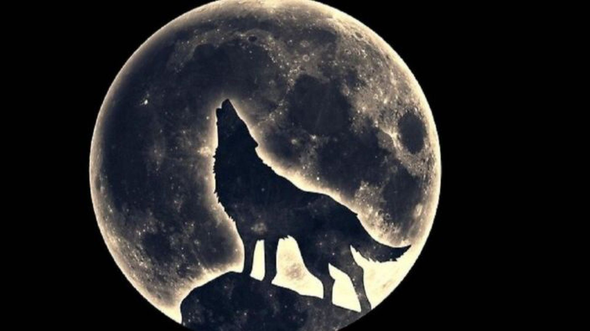 ¿Qué Es la Luna del Lobo? Origen del Nombre y Cuándo Se Podrá Ver en 2025