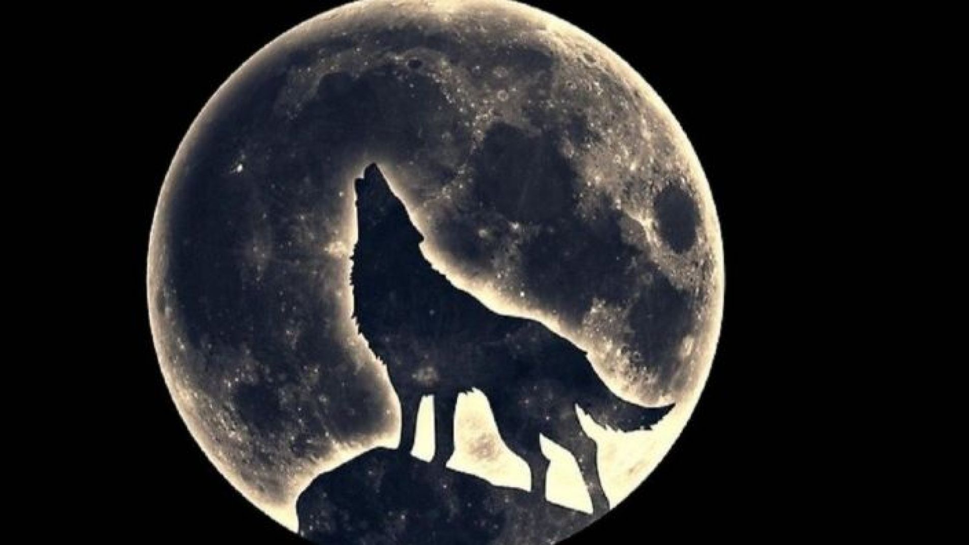 ¿Qué Es la Luna del Lobo? Origen del Nombre y Cuándo Se Podrá Ver en 2025