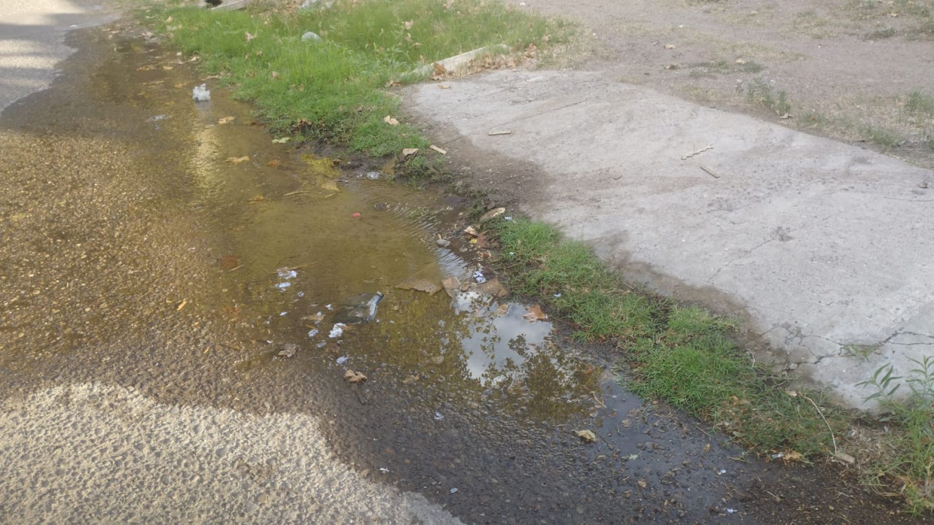 En Maza al 1060, aproximadamente, hay una pérdida de agua hace varios días.