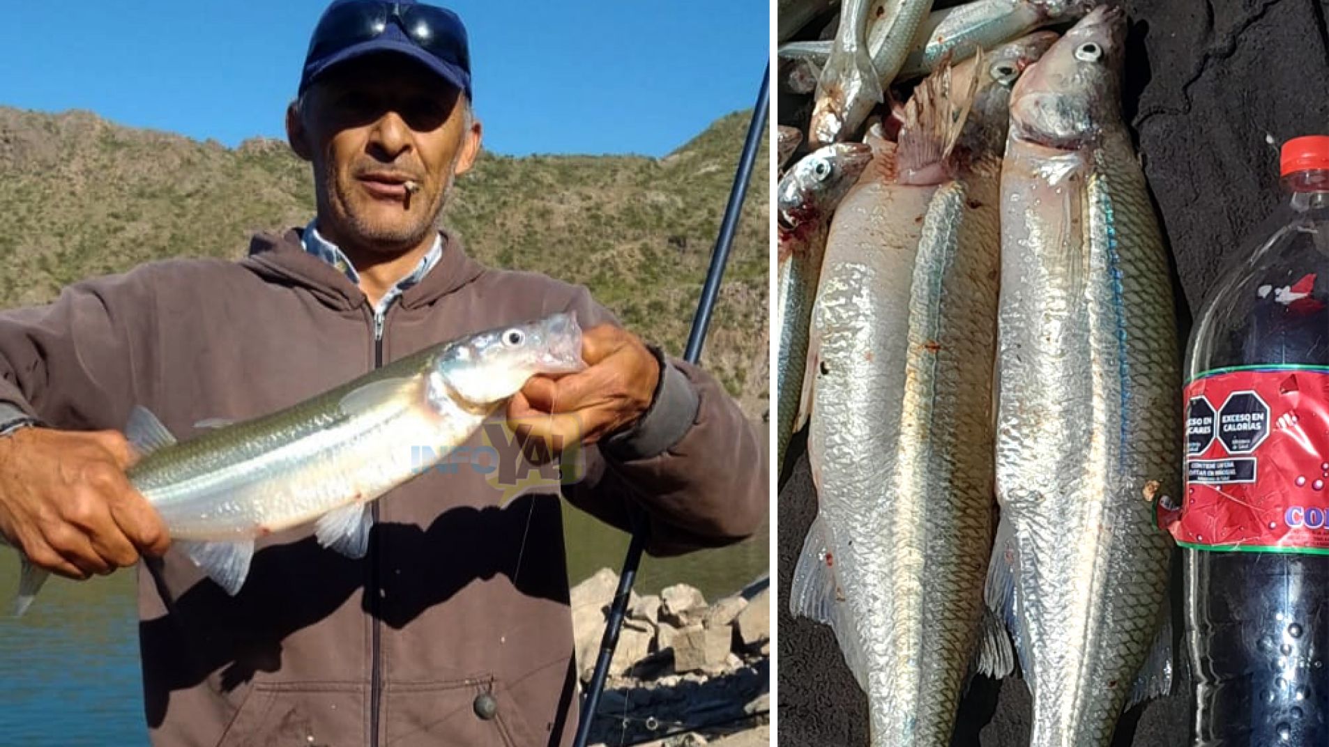 Ricardo con uno de los pejerreyes grandes que pescó en Los Reyunos.