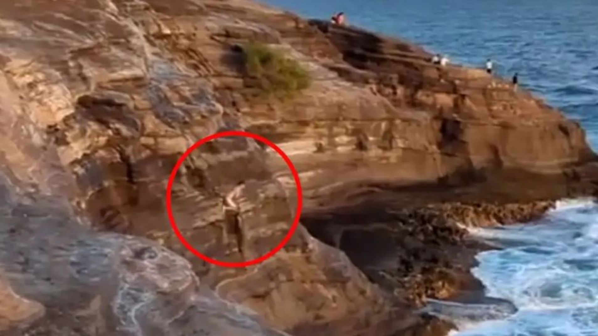 El momento en que se arroja al acantilado (captura video).