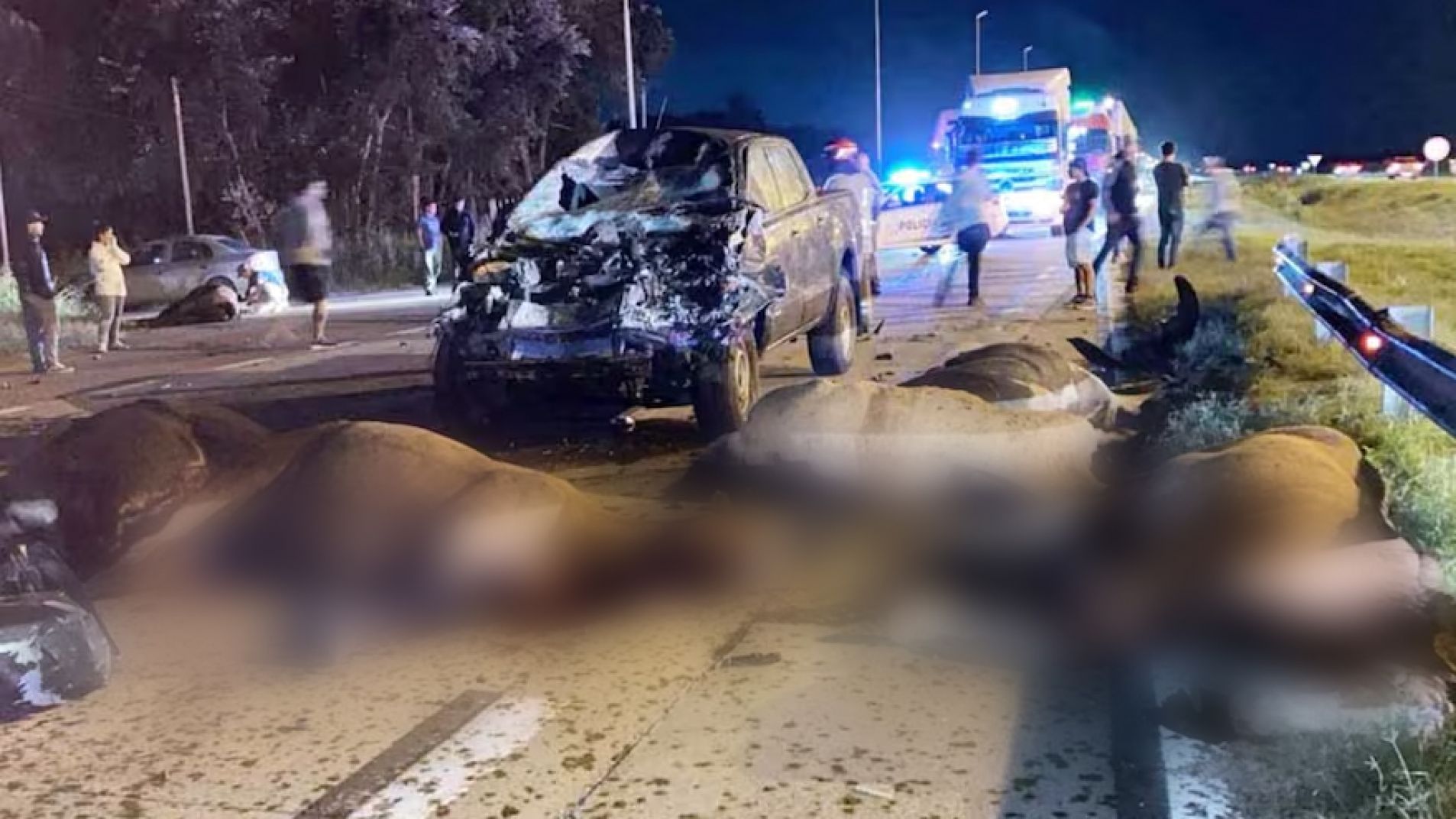 Choque contra caballos: murió una mujer y también nueve animales