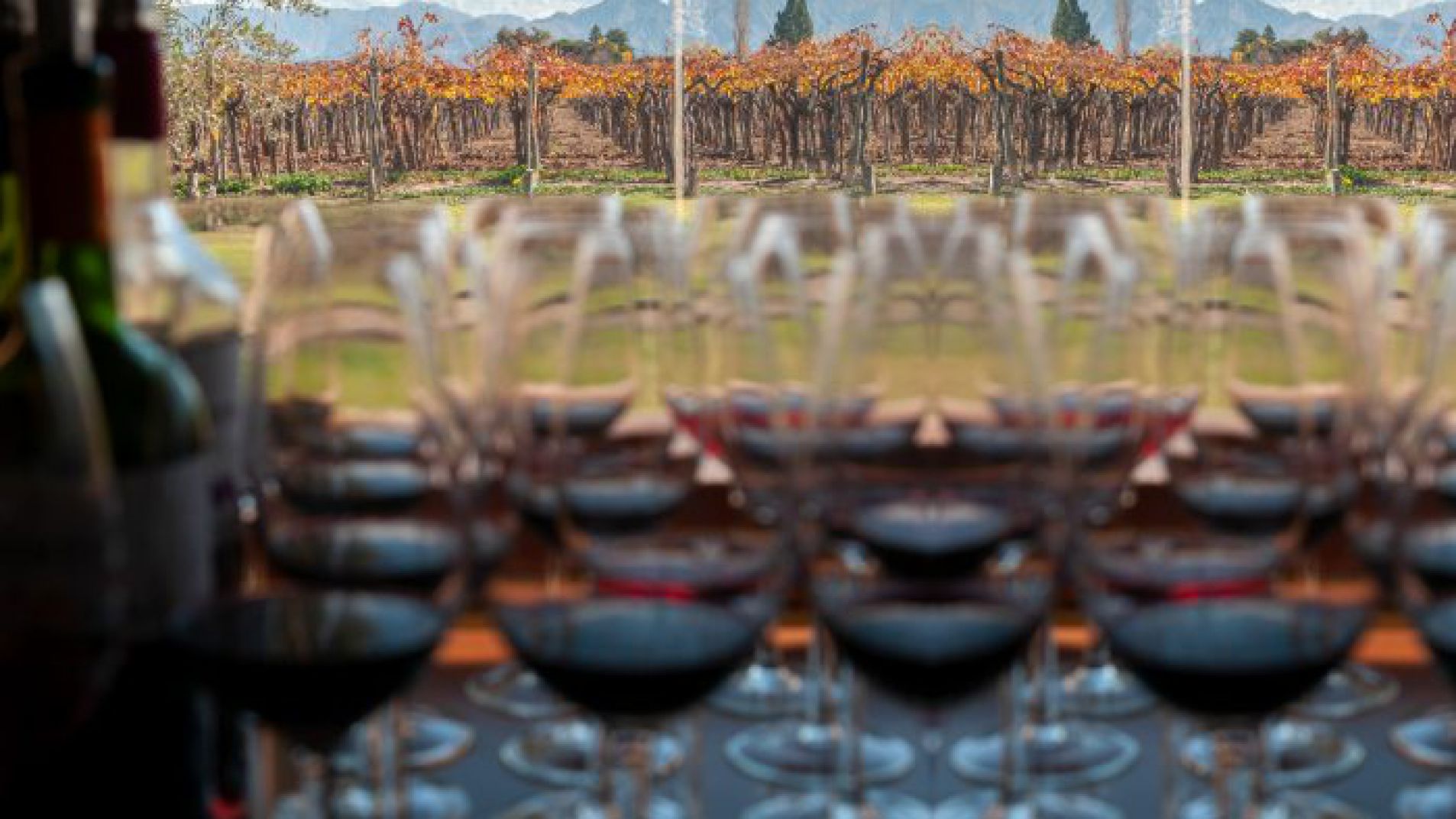 Semana Santa: Mendoza, según el gobierno, es uno de los destinos más elegidos