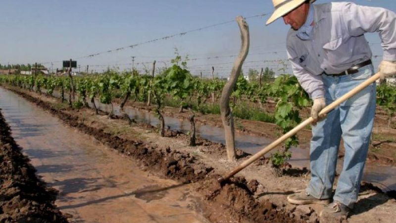 Advierten del deterioro del agro del sur y de la falta de políticas adecuadas