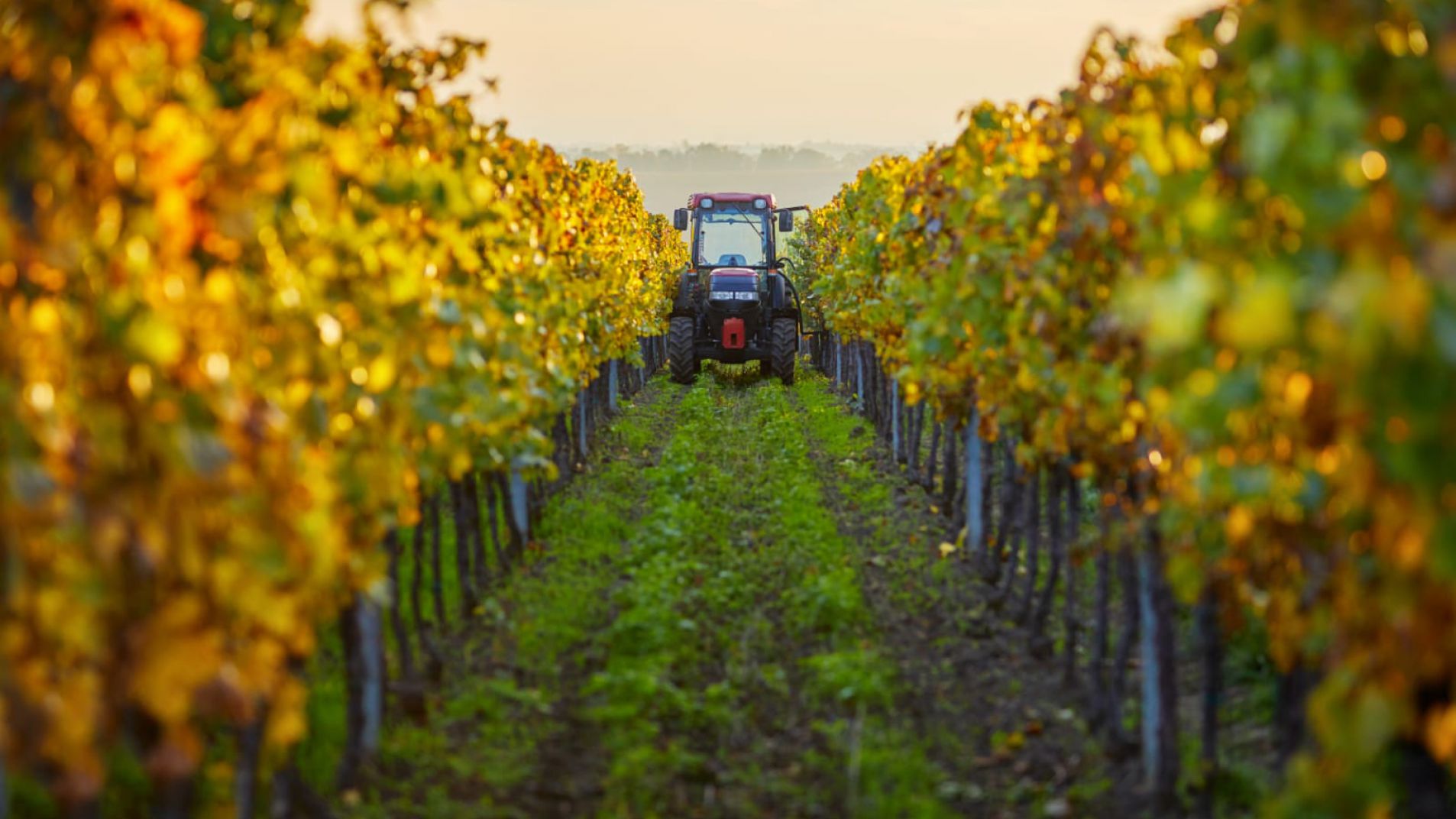 Hay tiempo hasta el 31 de mayo para inscribirse o actualizar el RUT