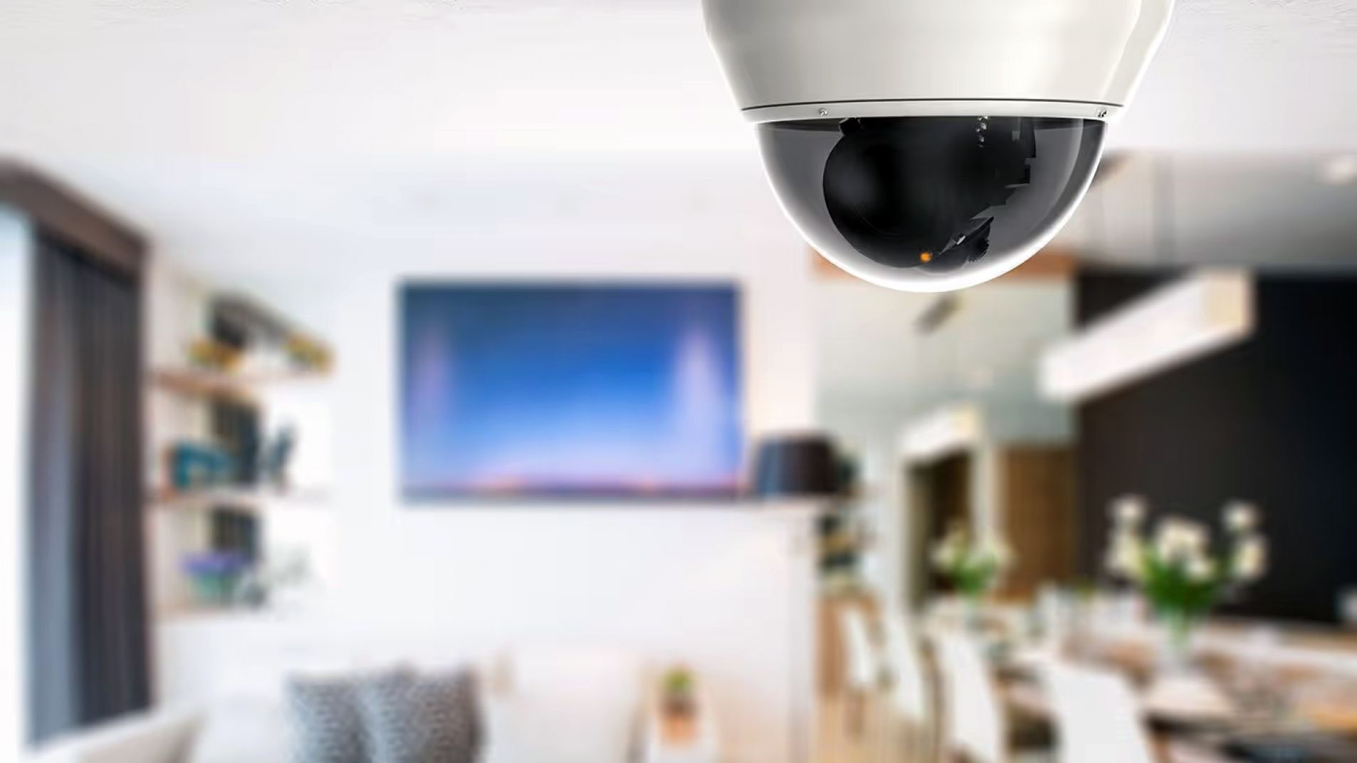 Una familia mendocina denunció que el albañil practicó zoofilia con su perra