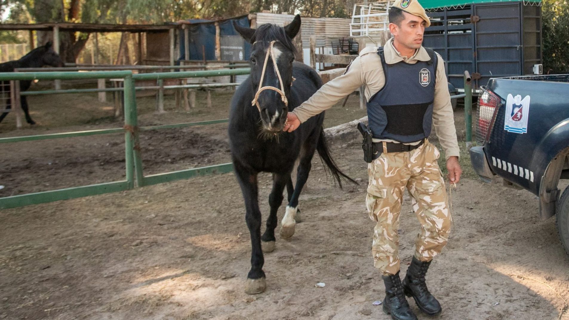 Operativos: secuestraron carne en mal estado y recuperaron decenas de animales